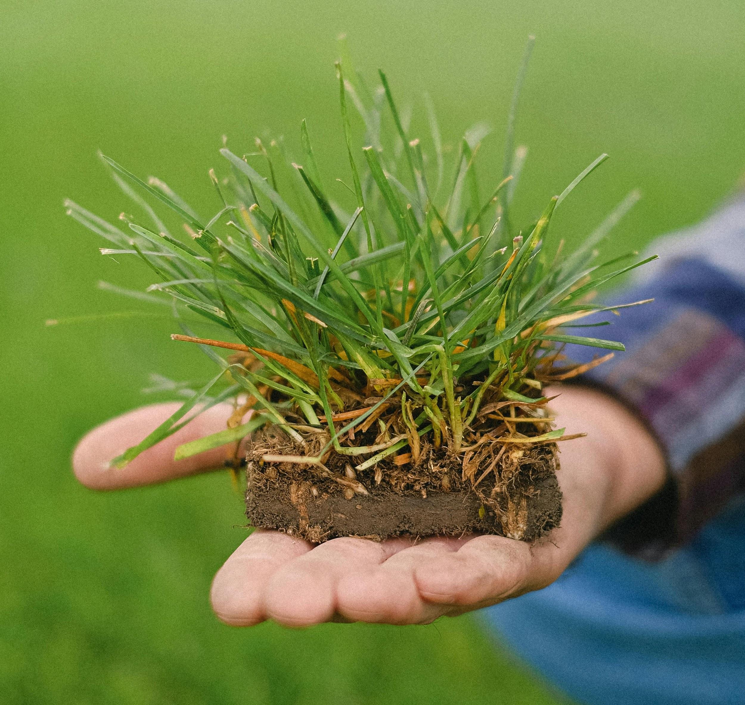 Mistake #3: Installing irrigation systems wrong