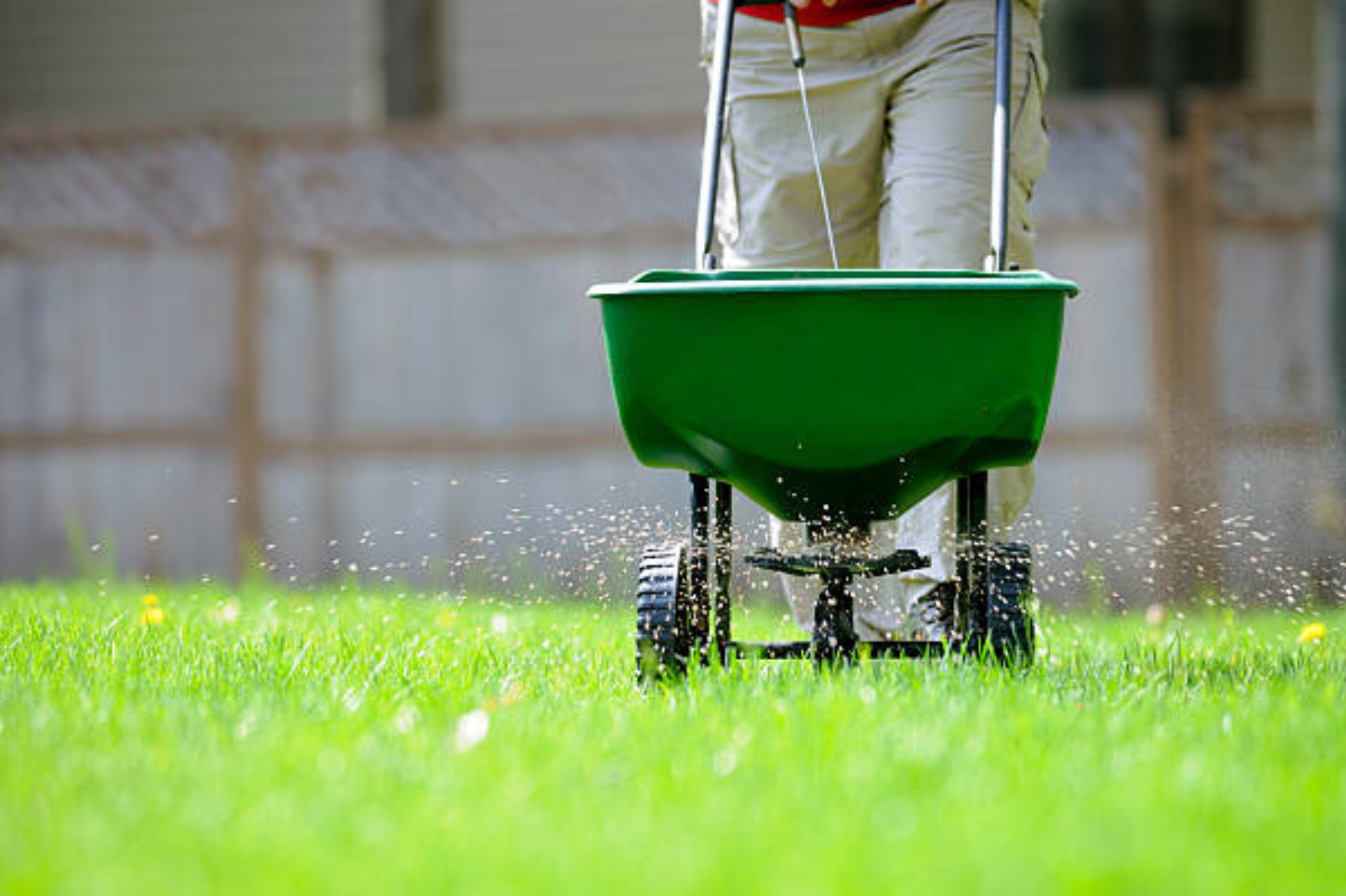 1. Fall fertilization—the most important meal of the year
