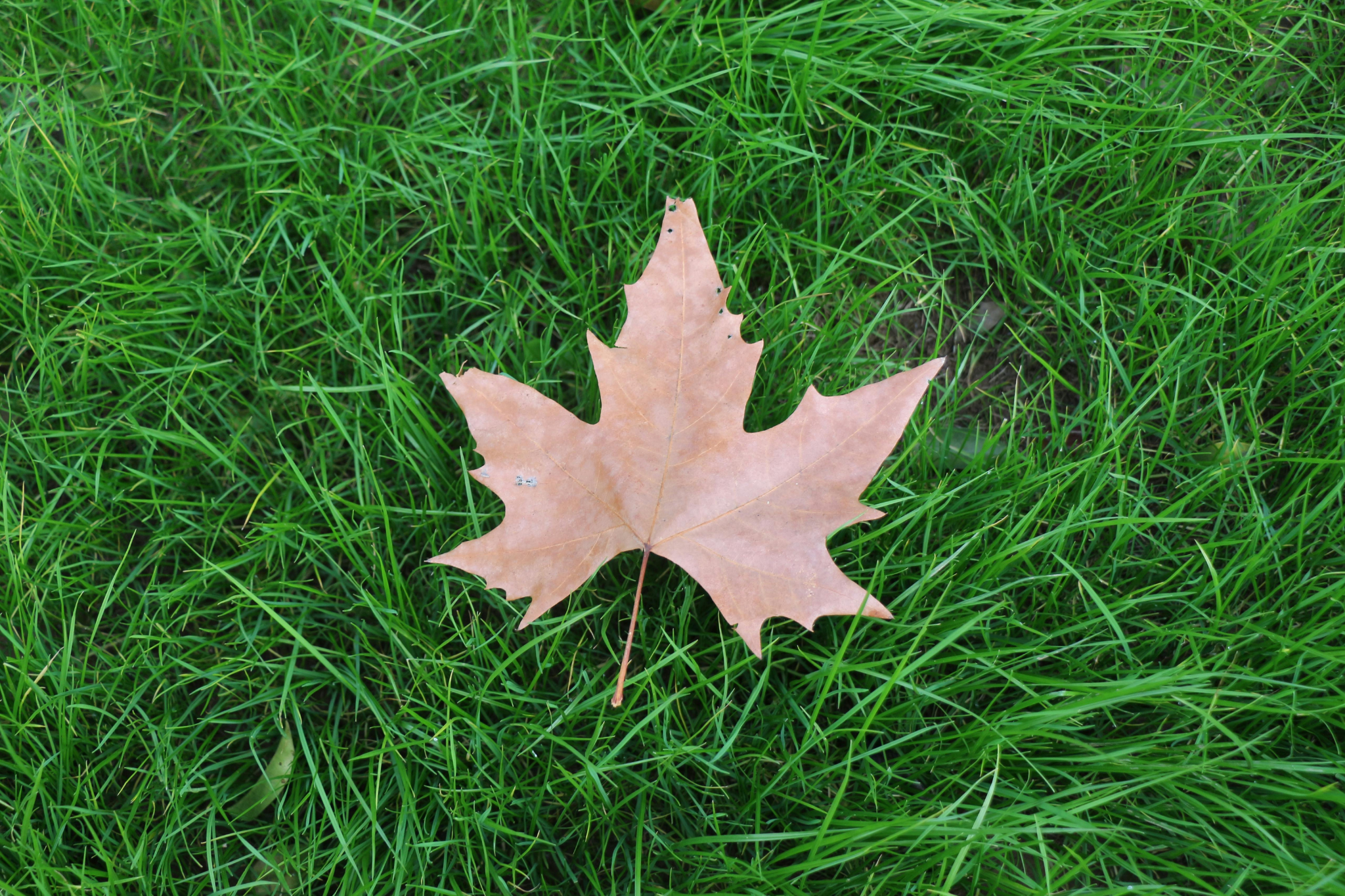 4. Protect your investment—sprinkler winterization