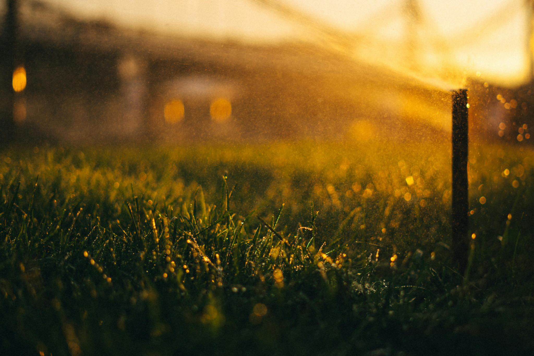 5. Tackle those weeds now