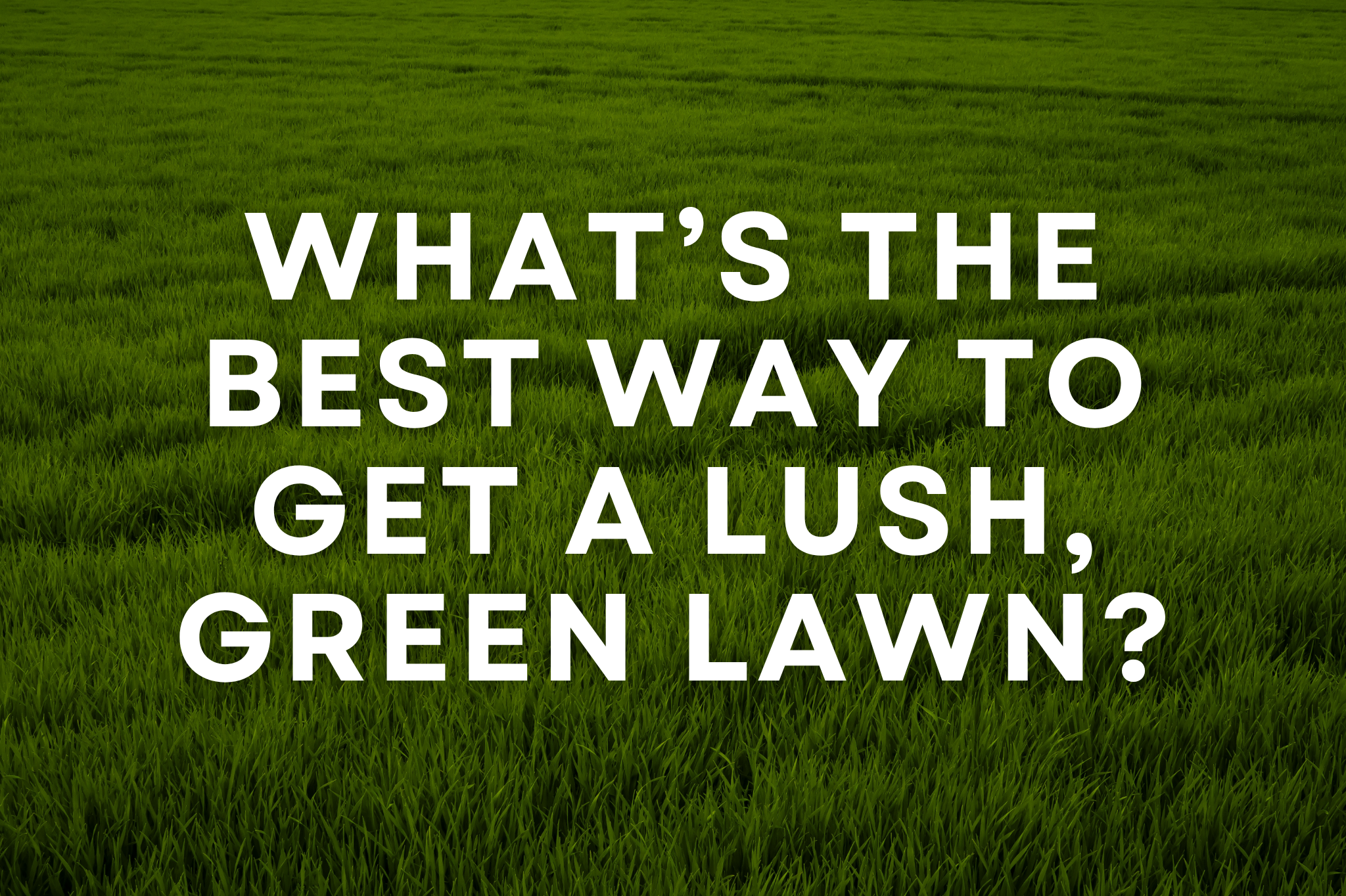 Lush green lawn in Southern Utah maintained with proper care and irrigation