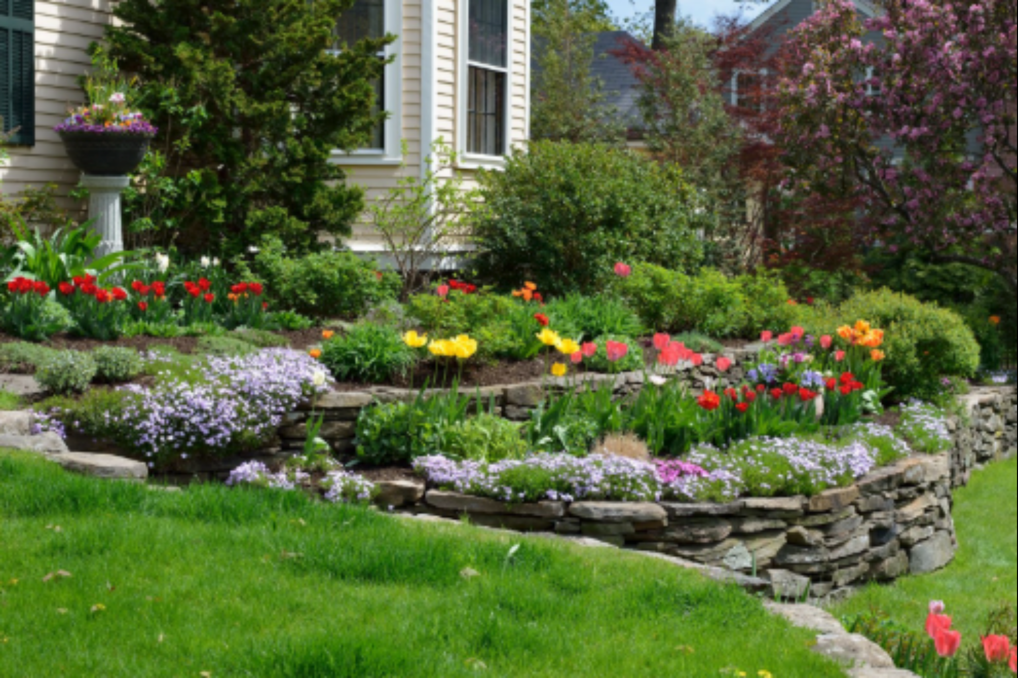 Key elements of our custom landscape design process