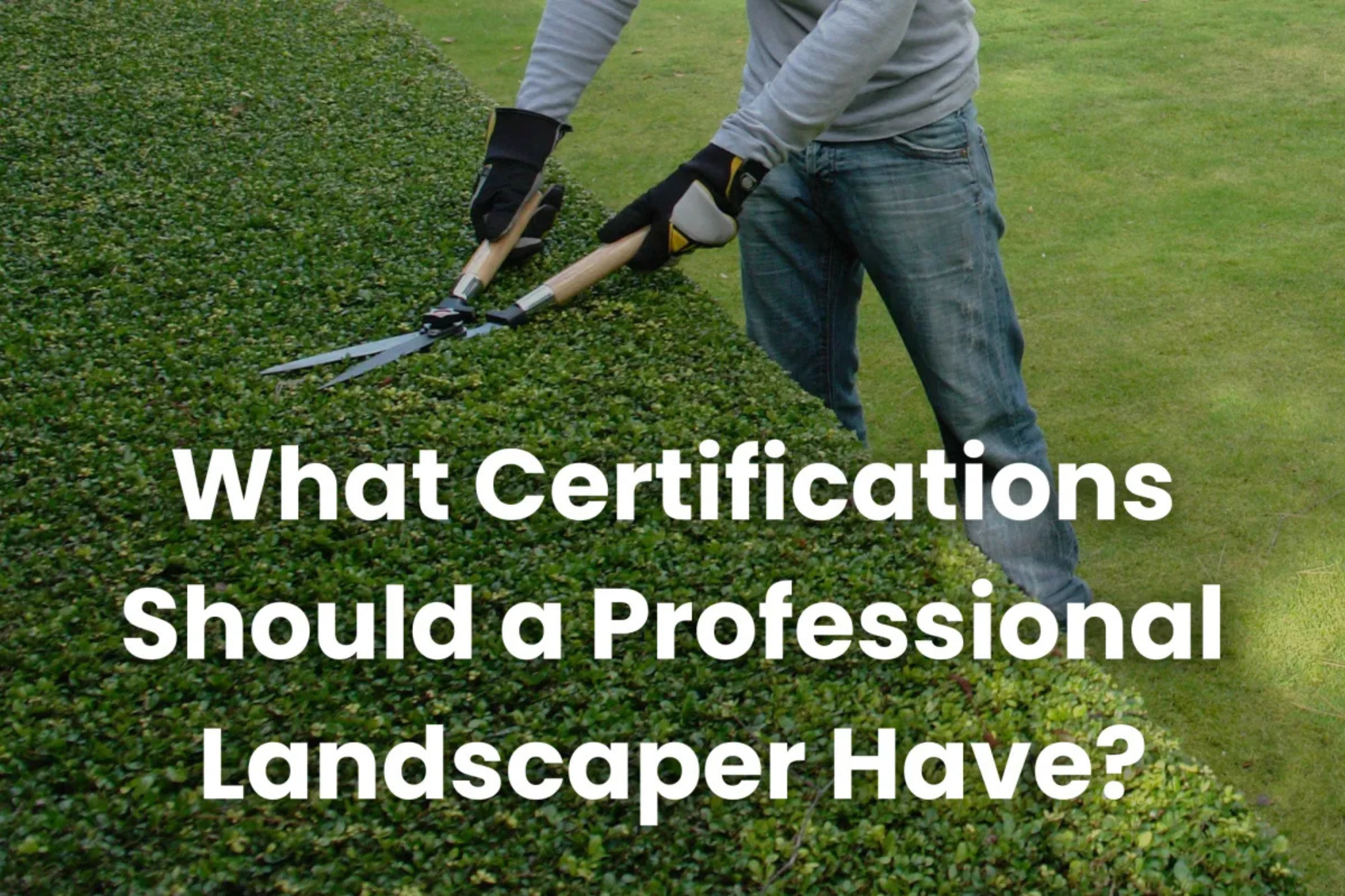 Professional landscaper reviewing project plans with certifications displayed