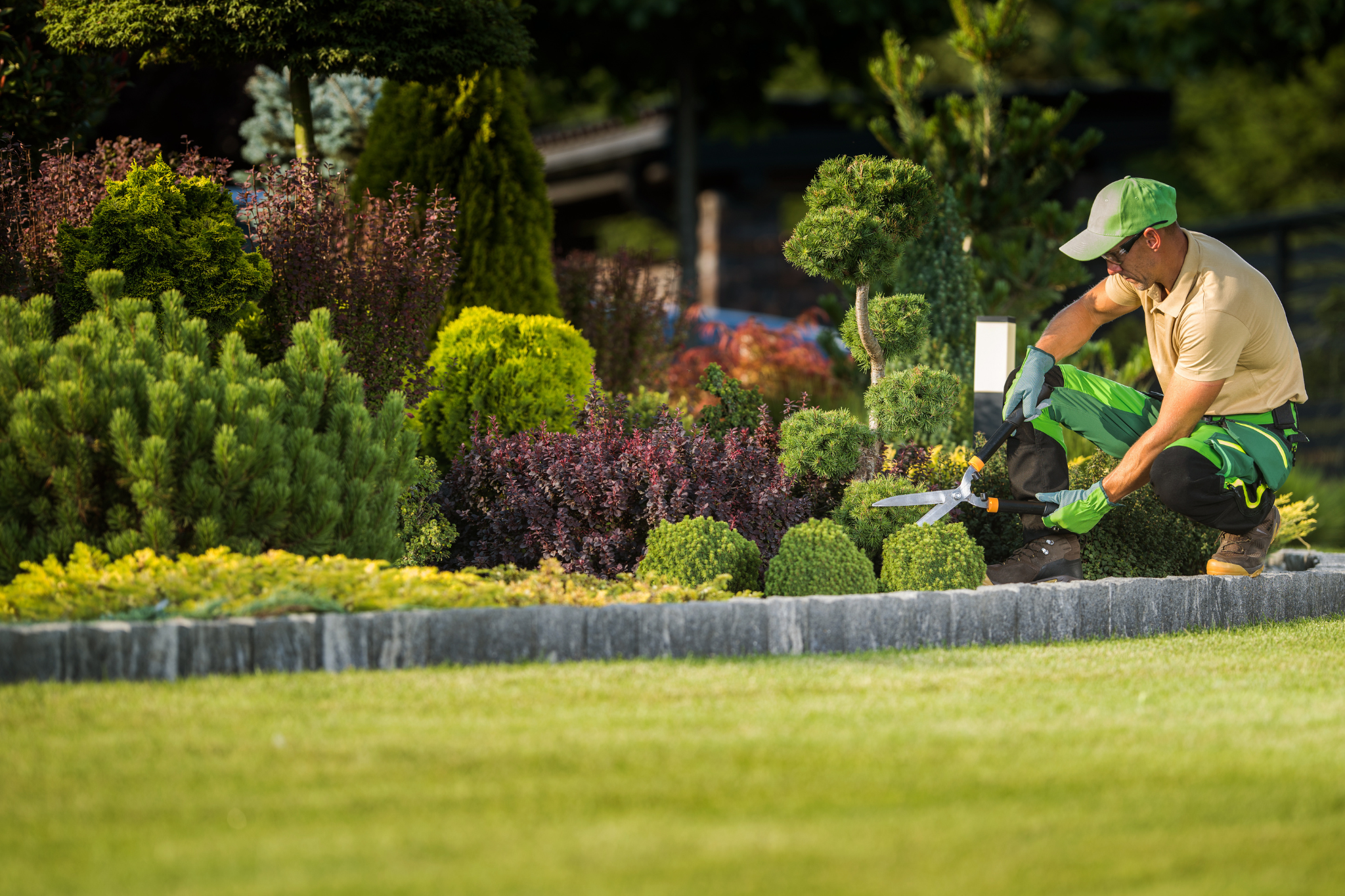 Questions to ask before hiring a landscaper