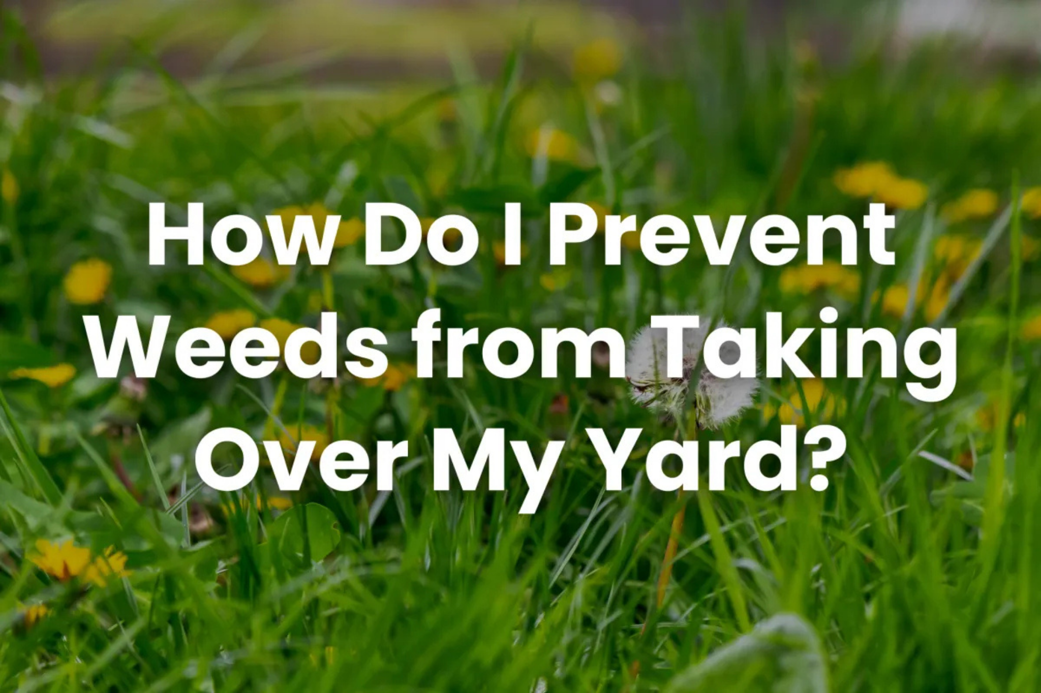 Weed-free Utah lawn and garden beds maintained with proper prevention techniques