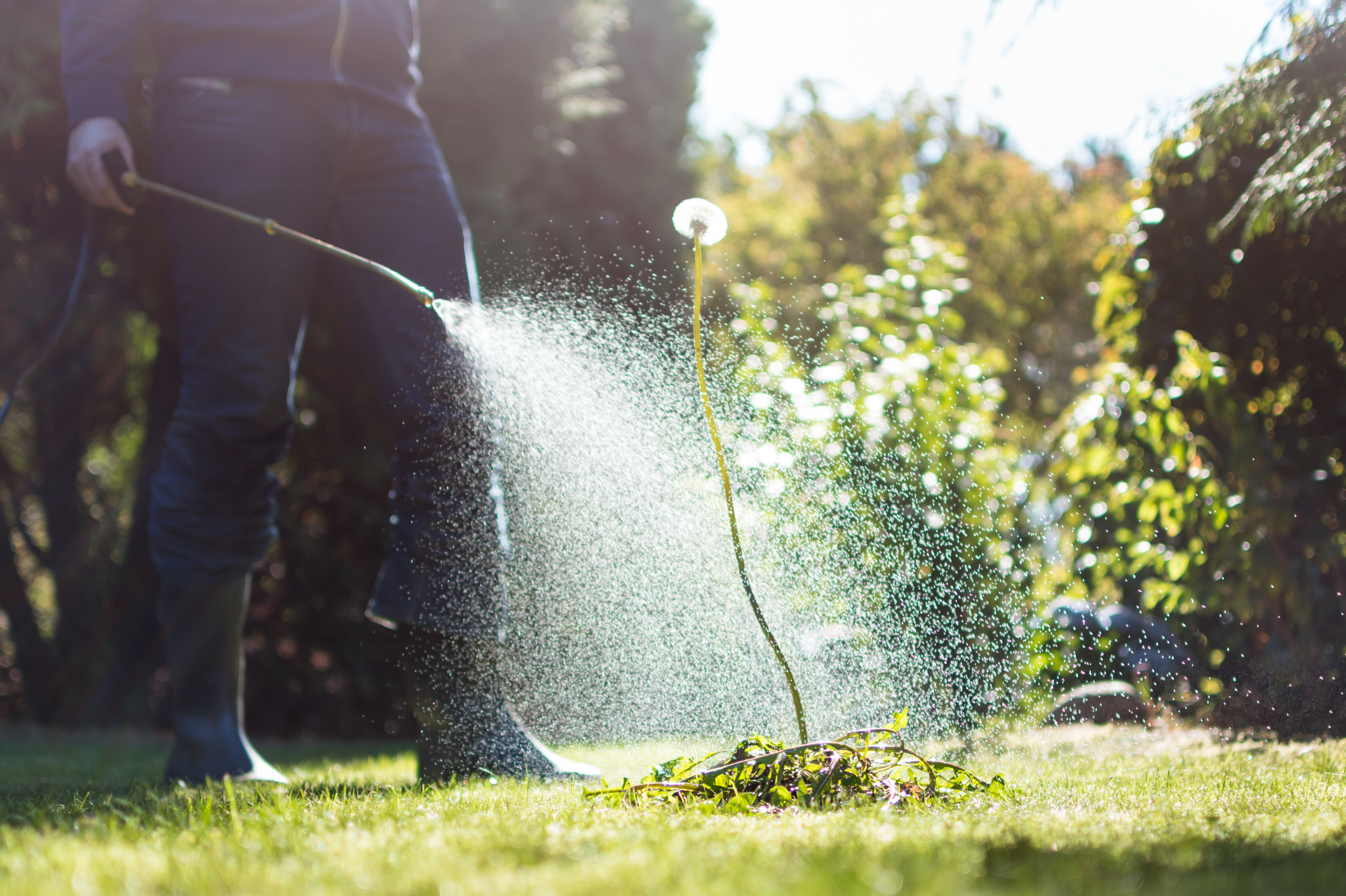 Selective & pre-emergent herbicides