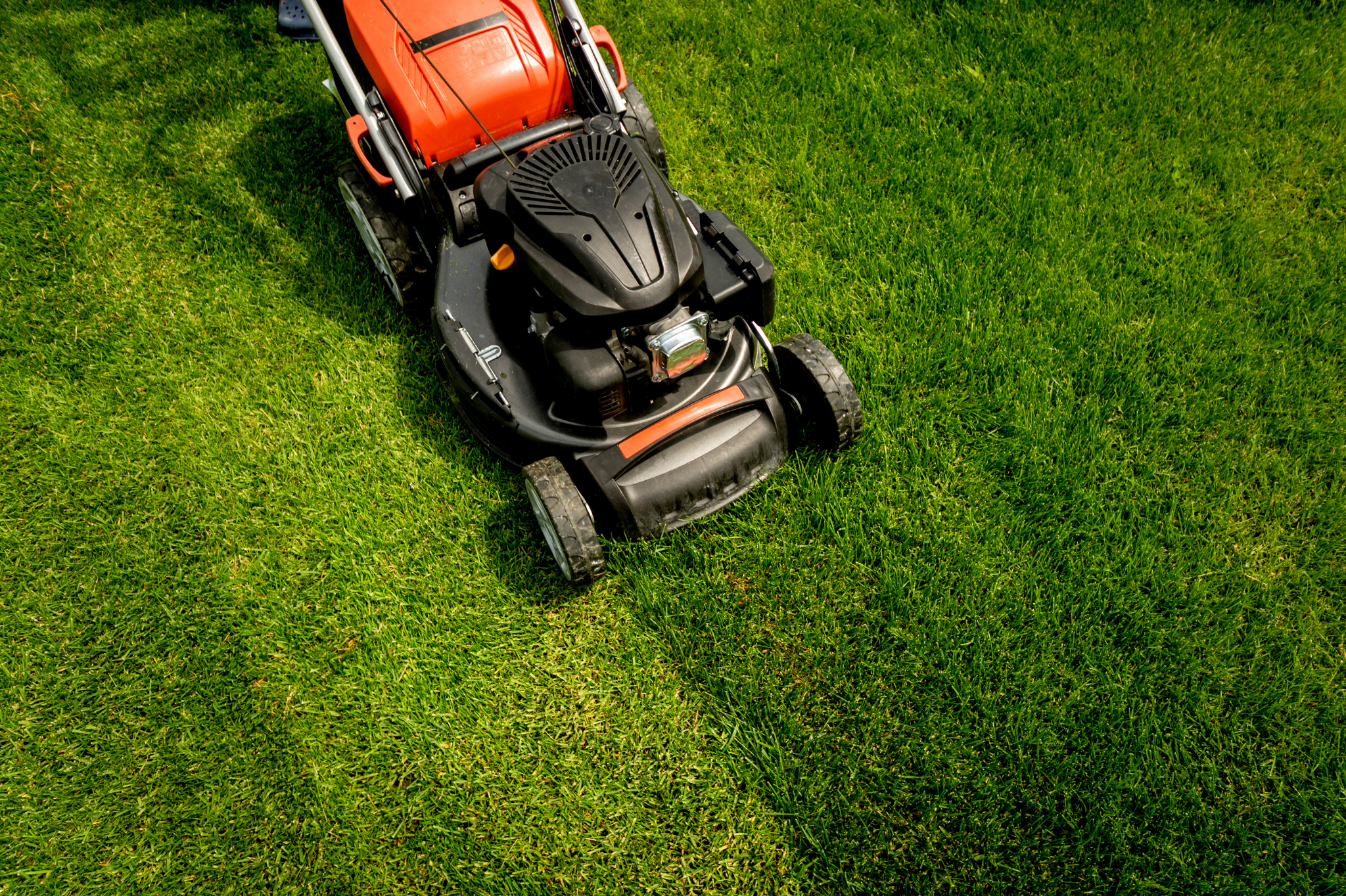 Start with prevention—the best defense is a healthy lawn