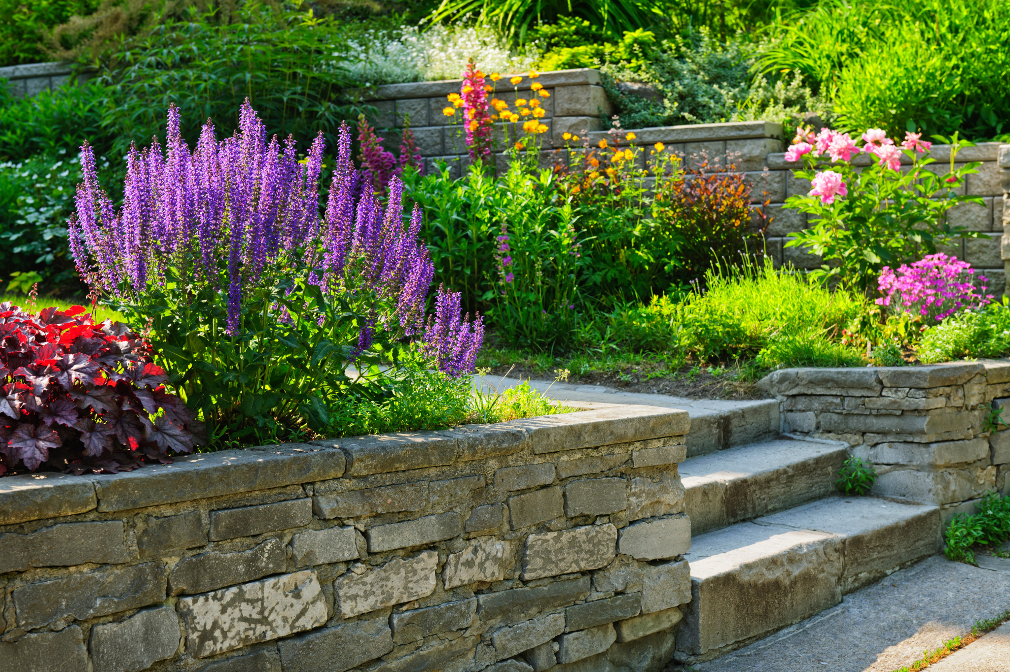 Final tips: how to choose the right plants