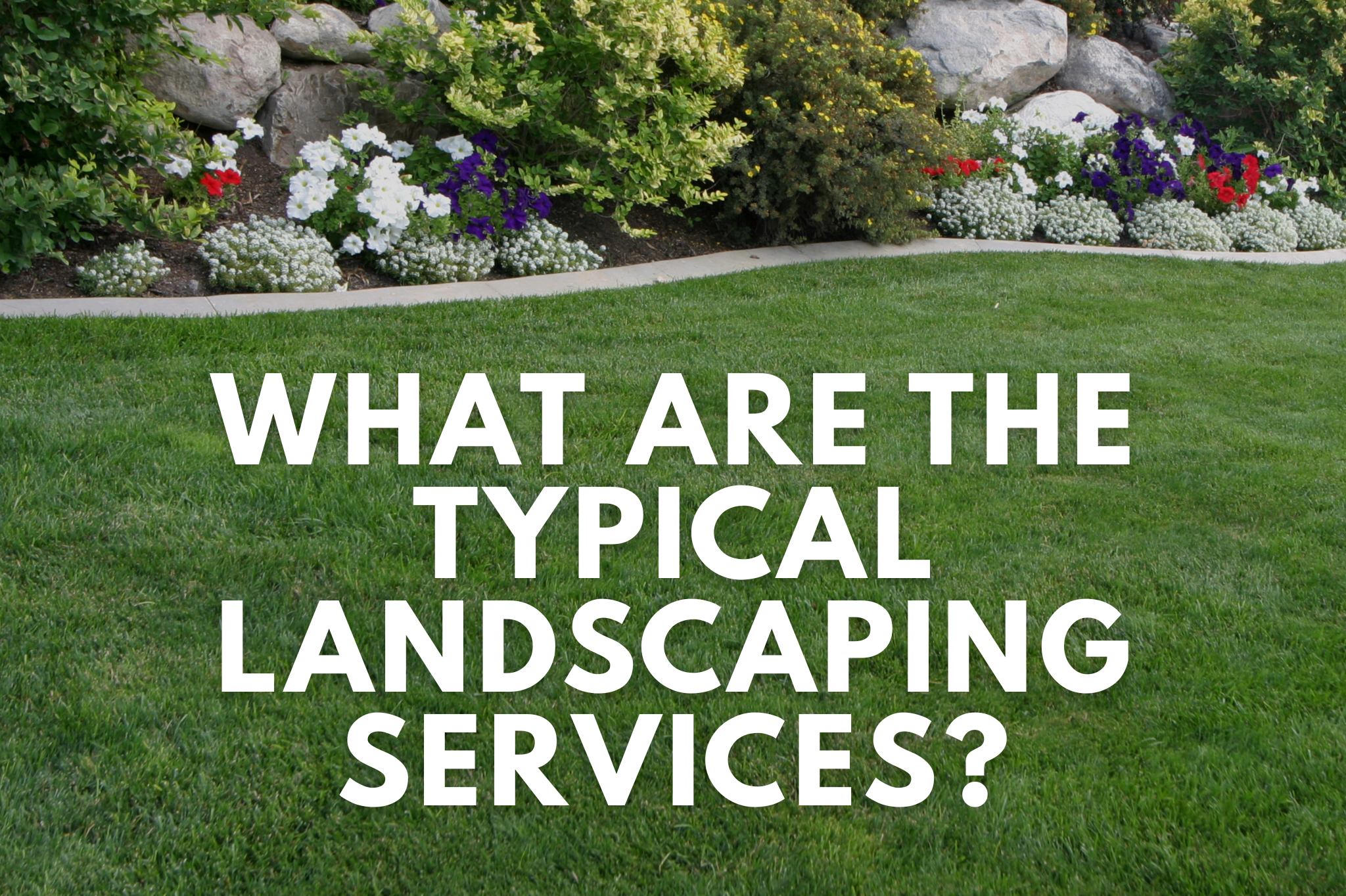 Professional landscaper installing plants and hardscape elements in a residential yard