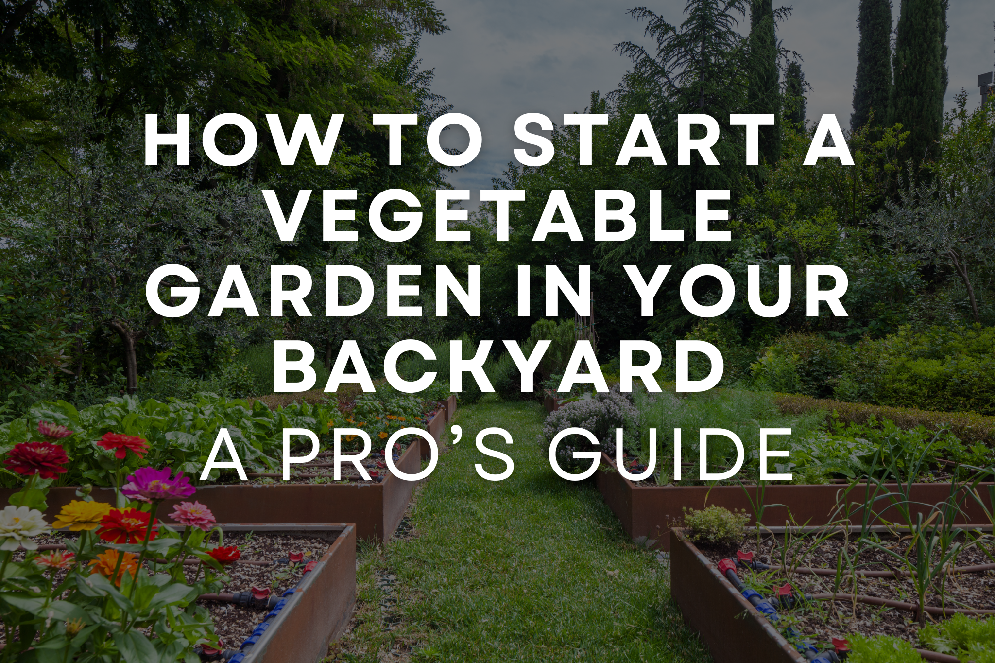 Professional raised bed vegetable garden installed by C&K Landscaping in a residential backyard
