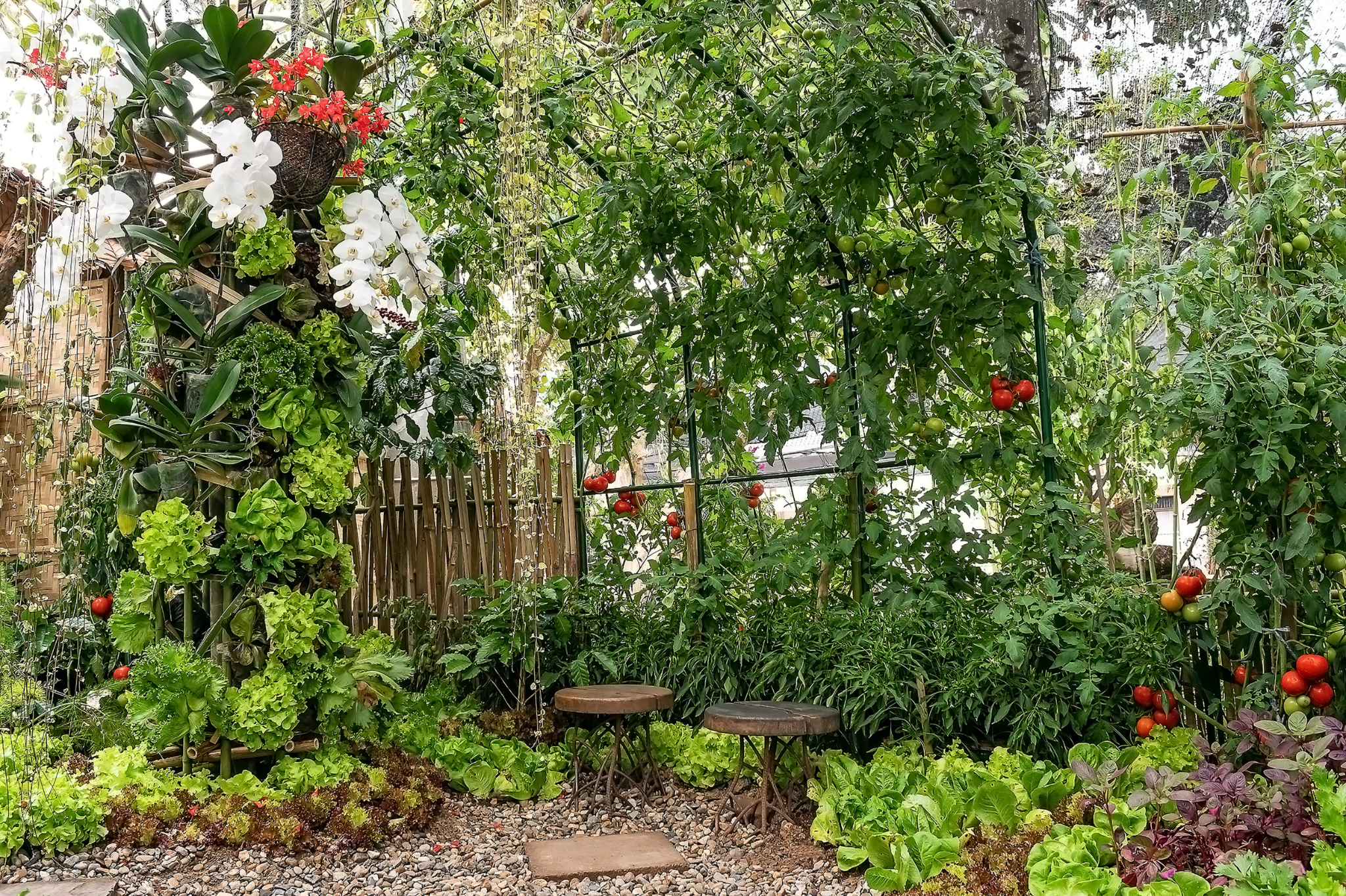 Step 2: Design your garden for success and beauty