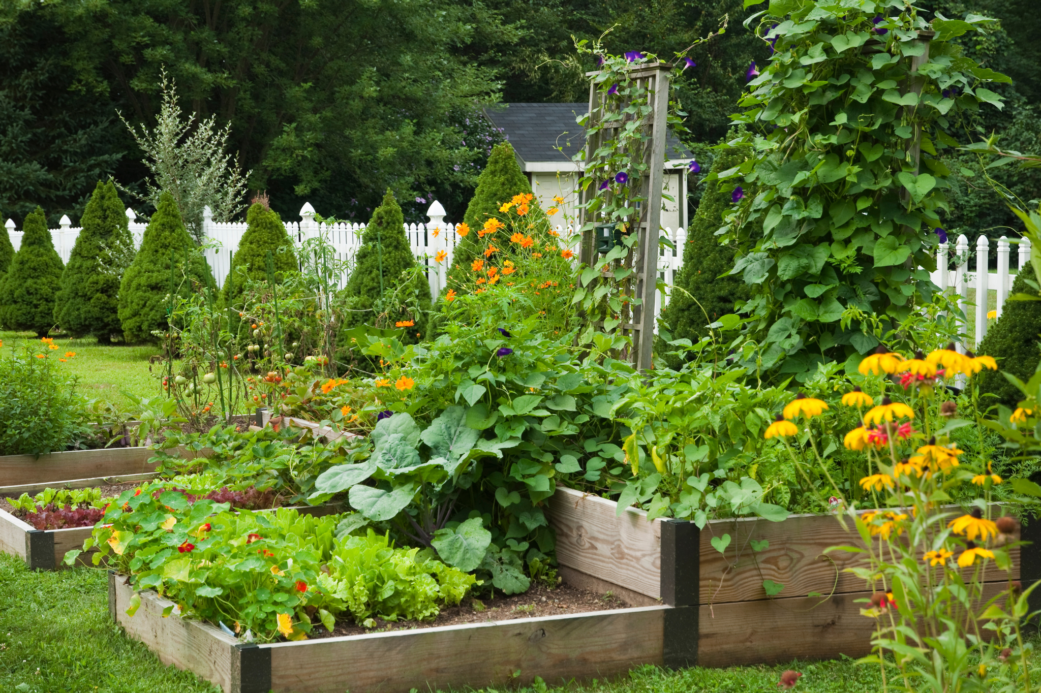 Step 3: Build the ultimate soil foundation