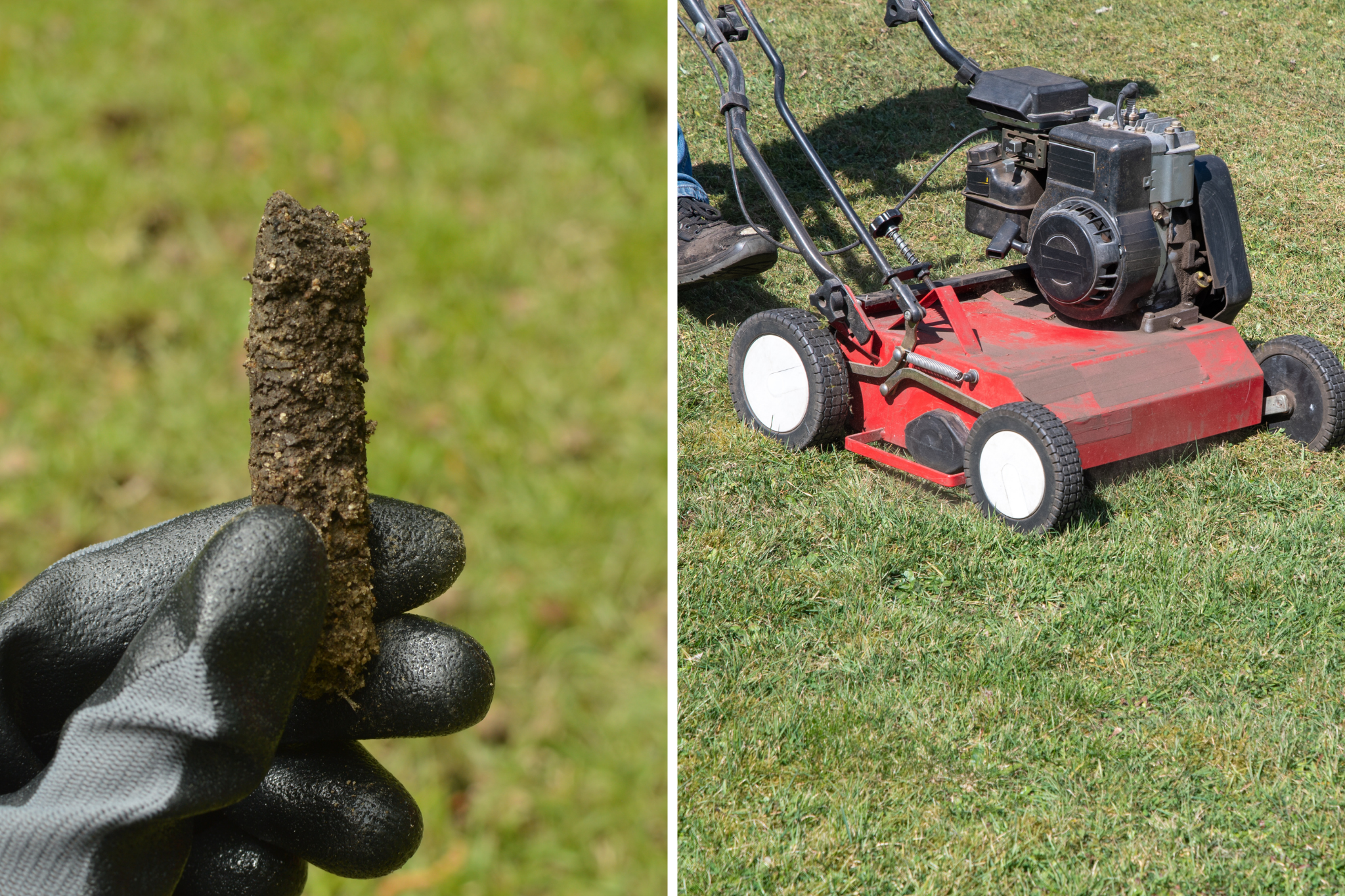 Do you need aeration, dethatching, or both?
