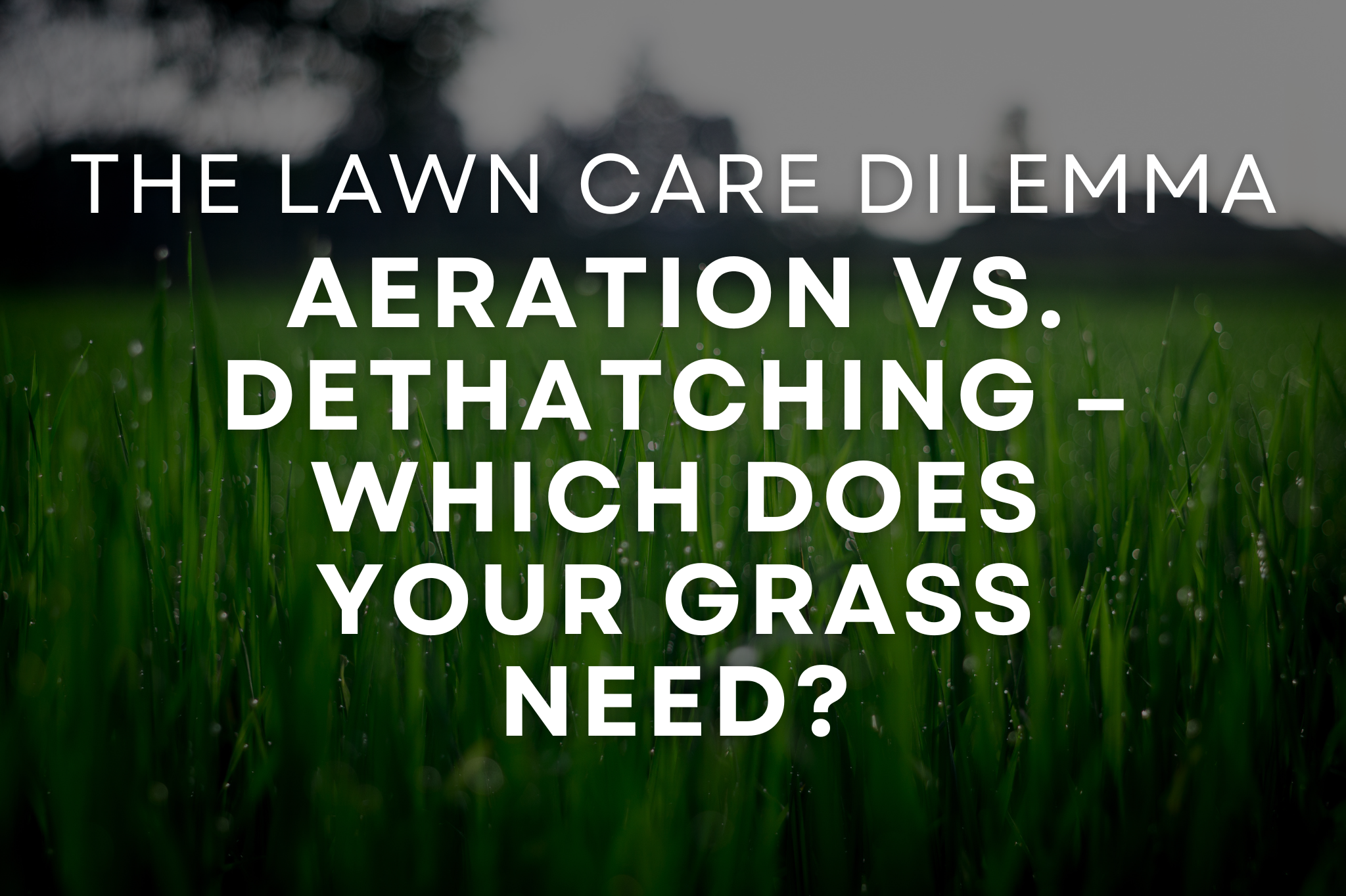 Side-by-side comparison of lawn aeration and dethatching equipment and results