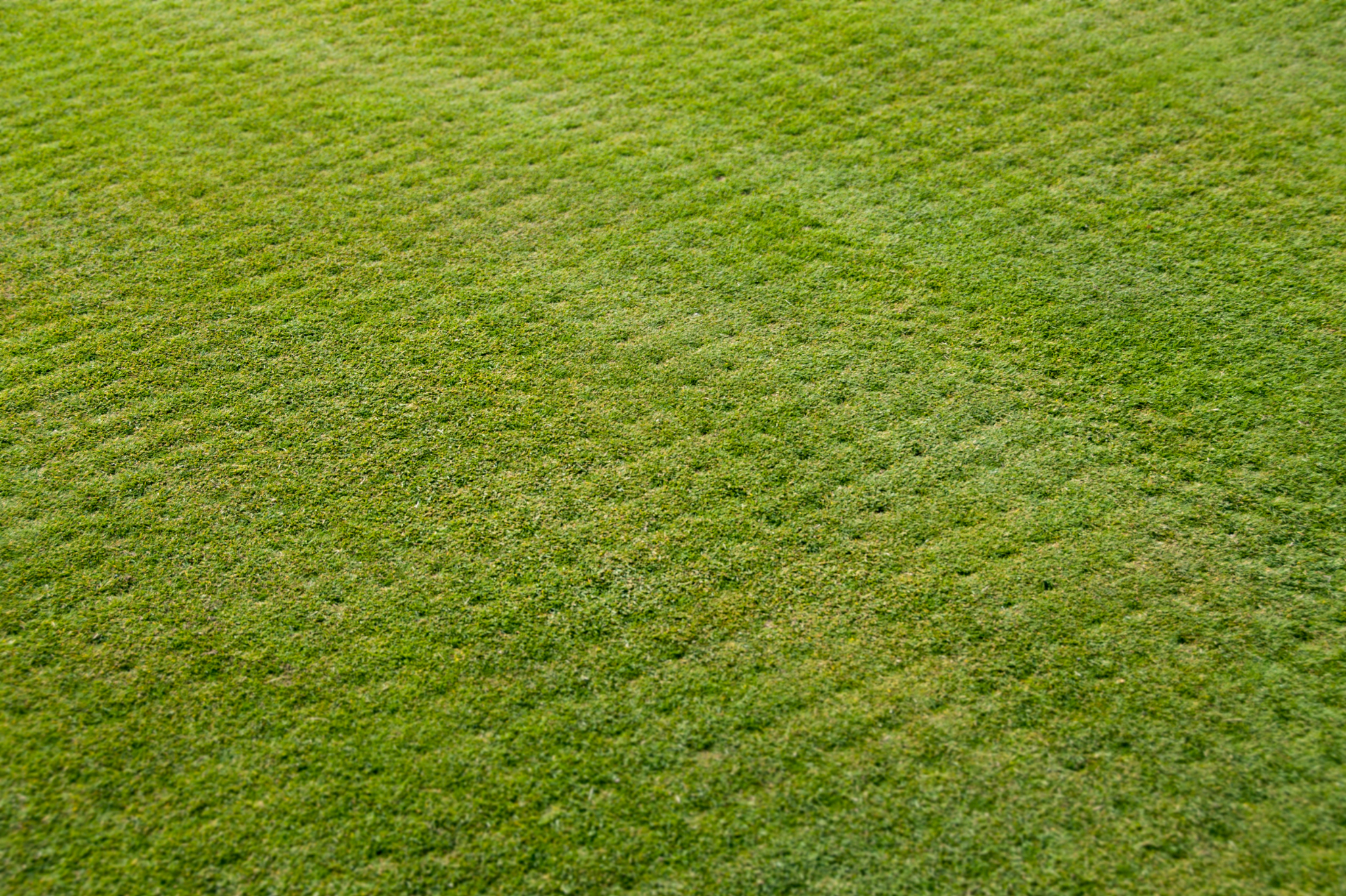 What is aeration (core aeration)?
