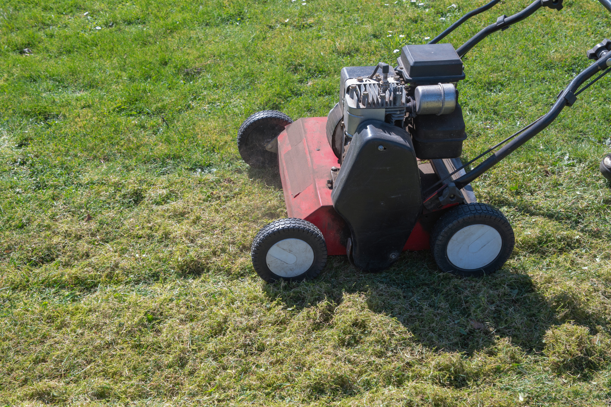 What is dethatching?