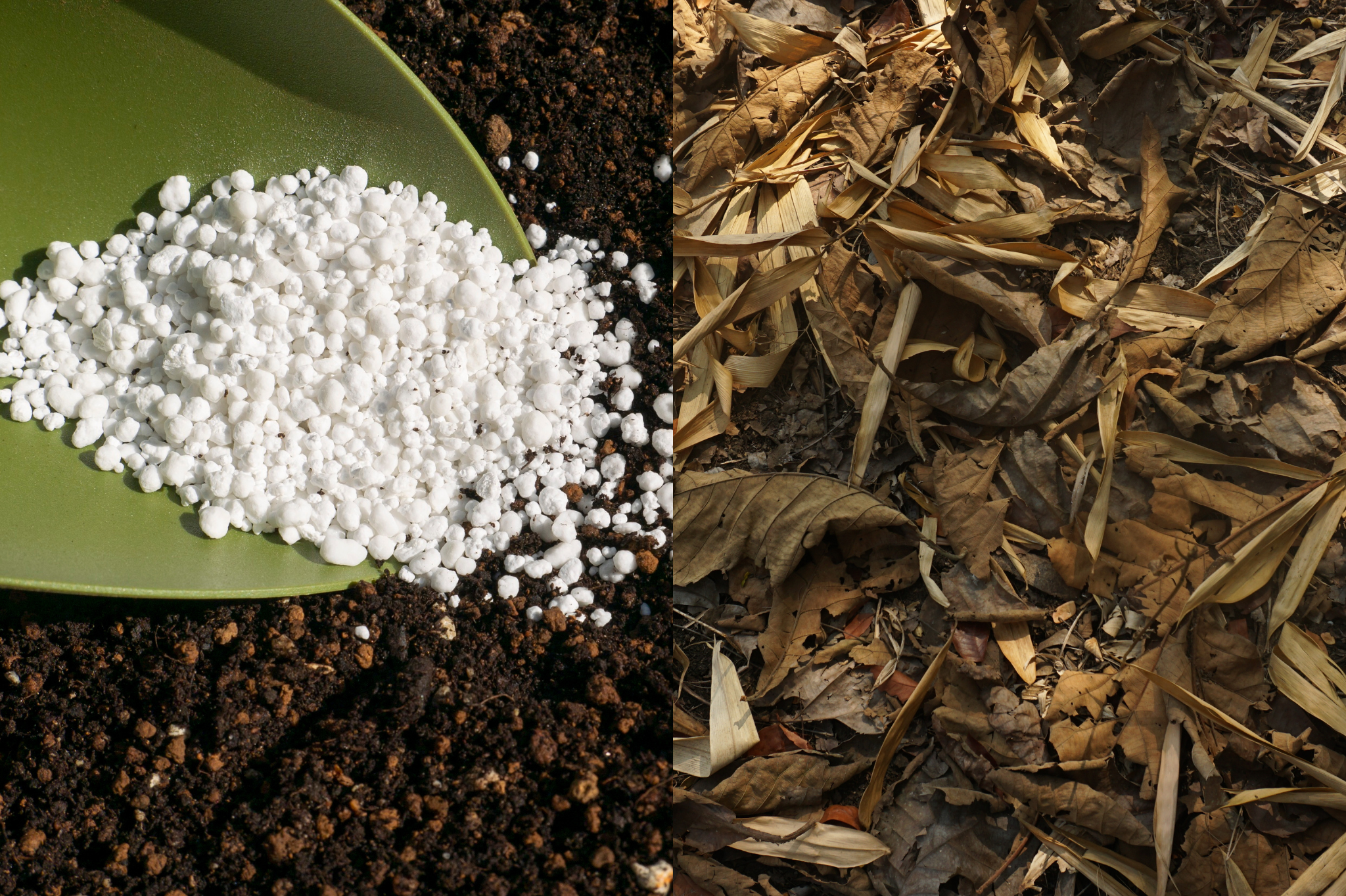 Building soil organically