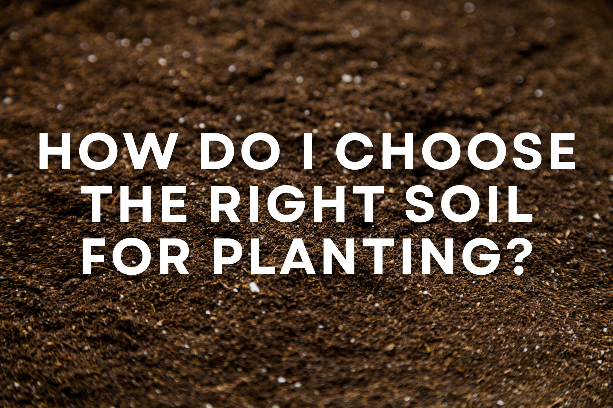 Close-up of rich, dark planting soil being prepared for a garden bed installation