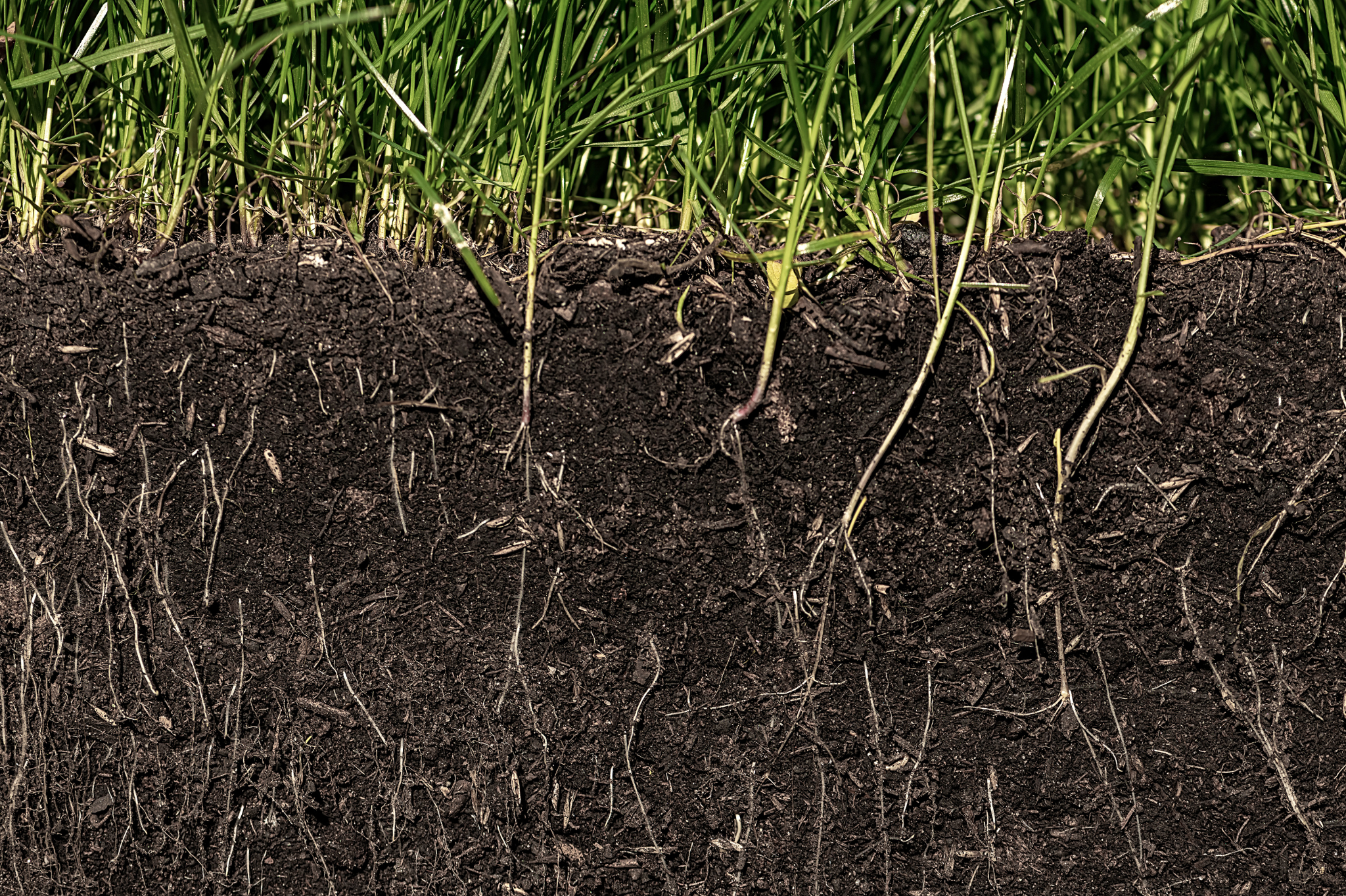 Understanding your dirt—it's more than just soil