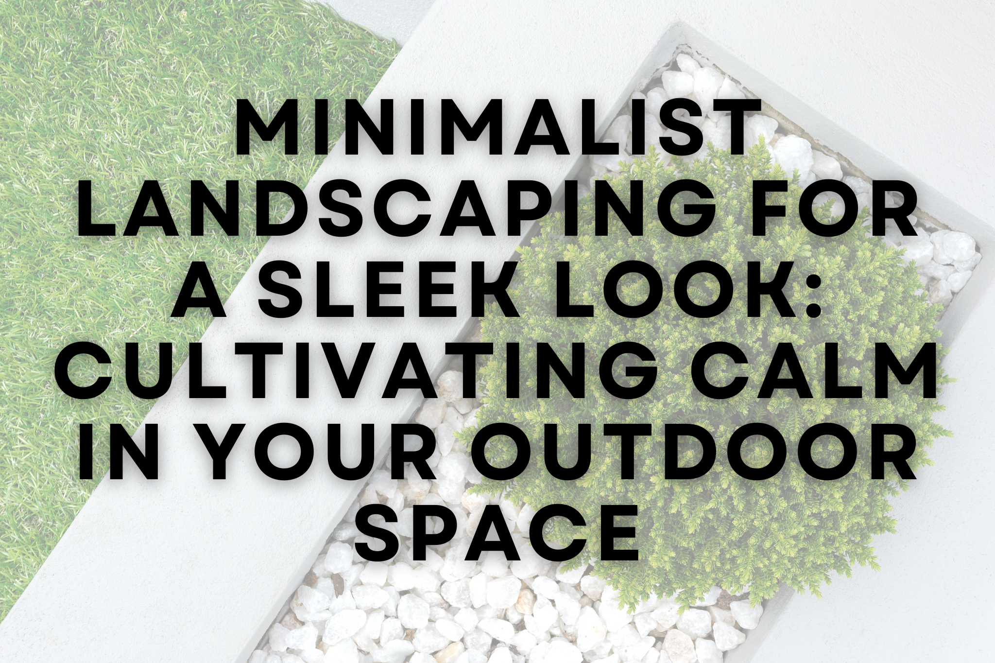 A sleek, minimalist landscape with large-format pavers, structured plantings, and open negative space