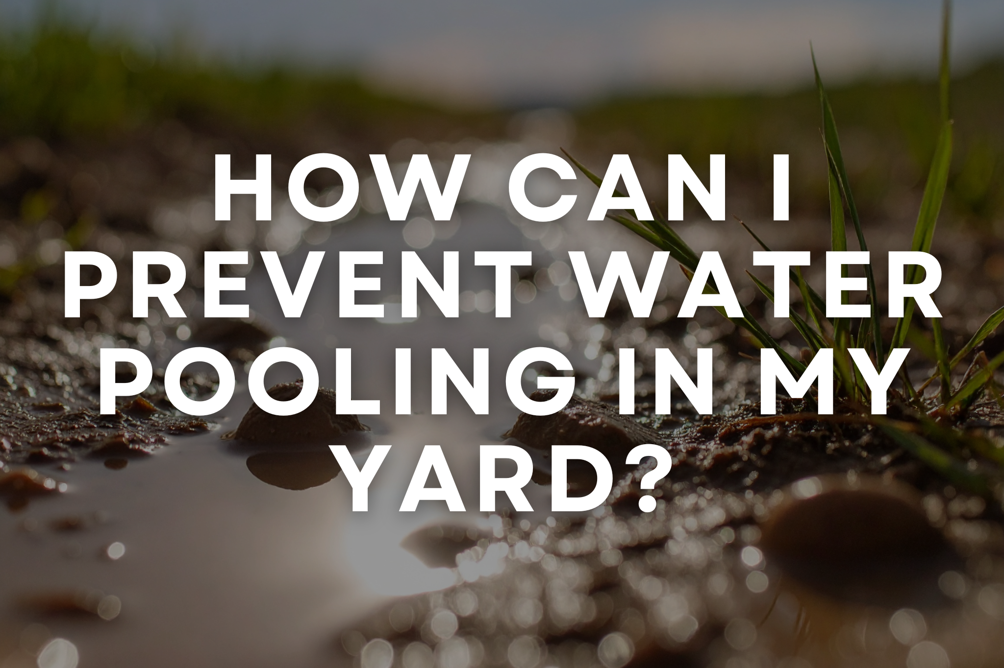 A yard with standing water pooling after rain, showing the need for proper drainage solutions
