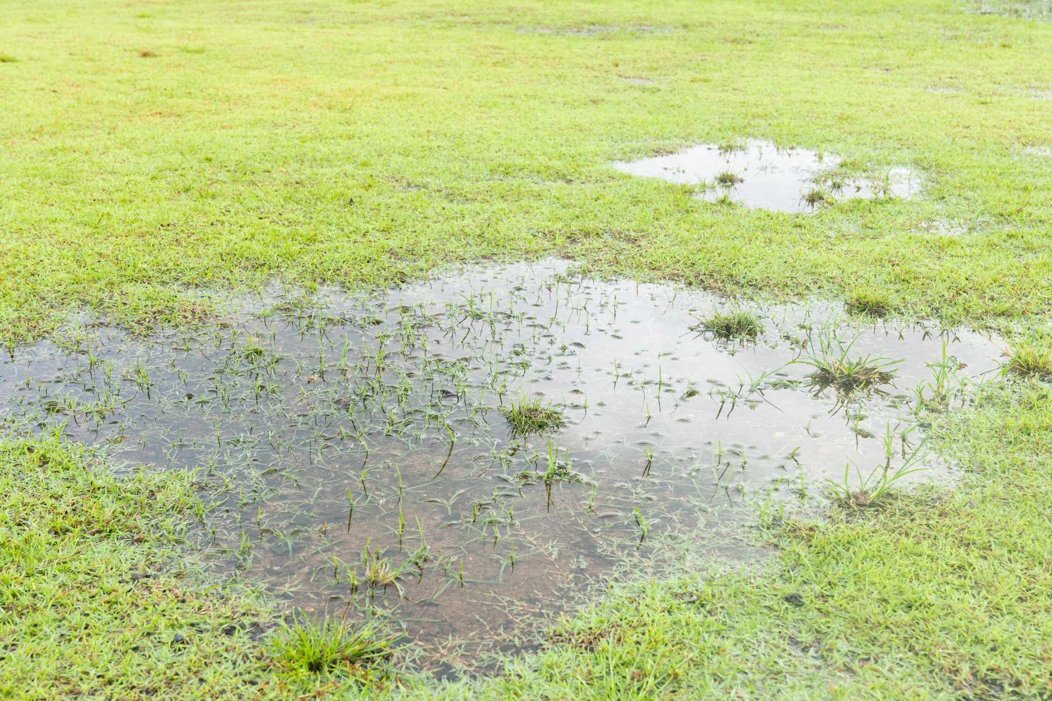 Why it pays to fix water pooling