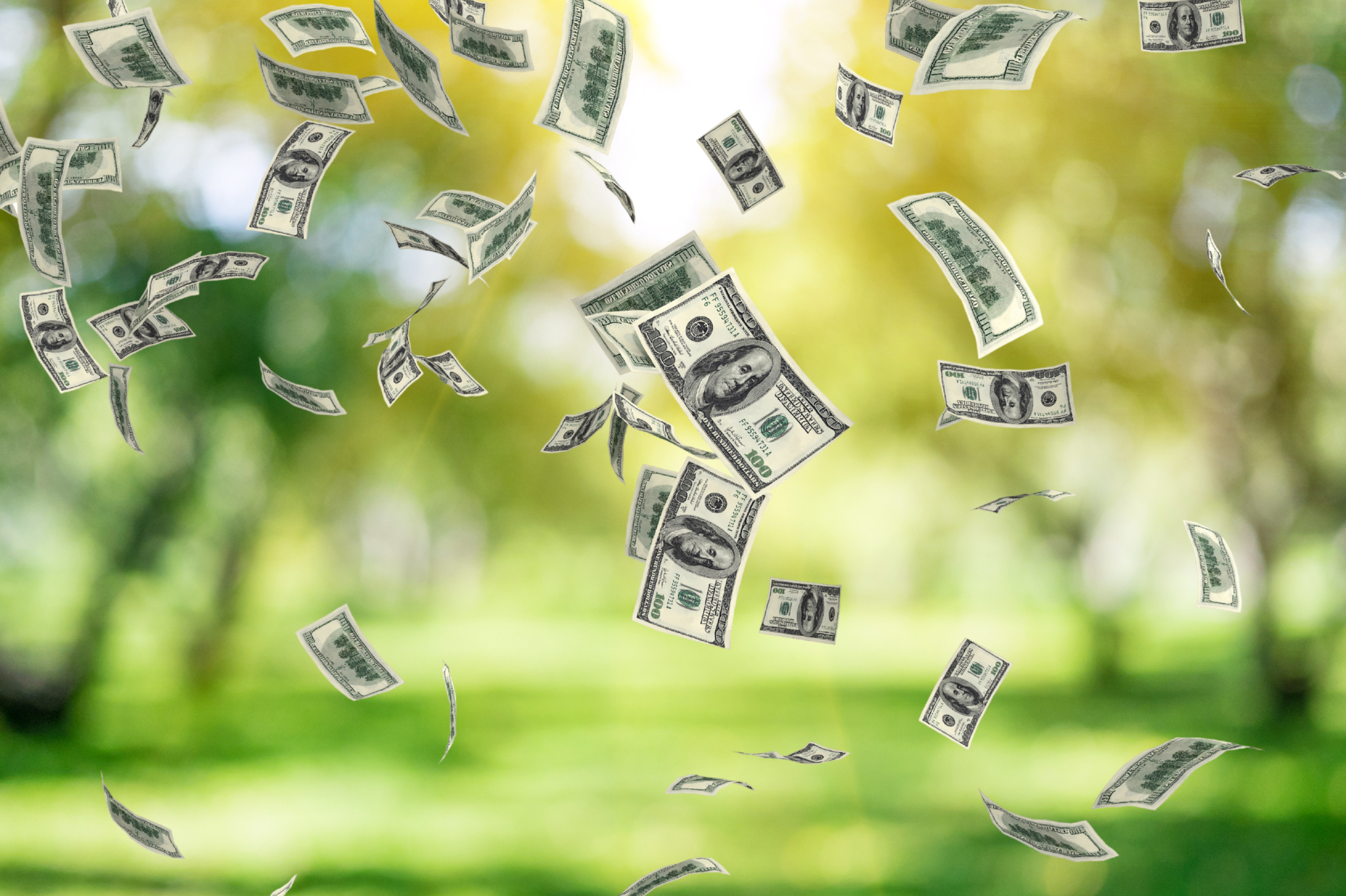 How to answer 'Can I finance my landscaping project?'