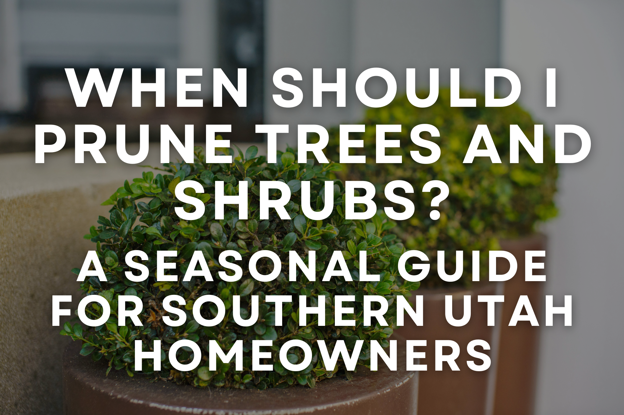 A professional landscaper pruning shrubs in a Southern Utah residential yard in early spring