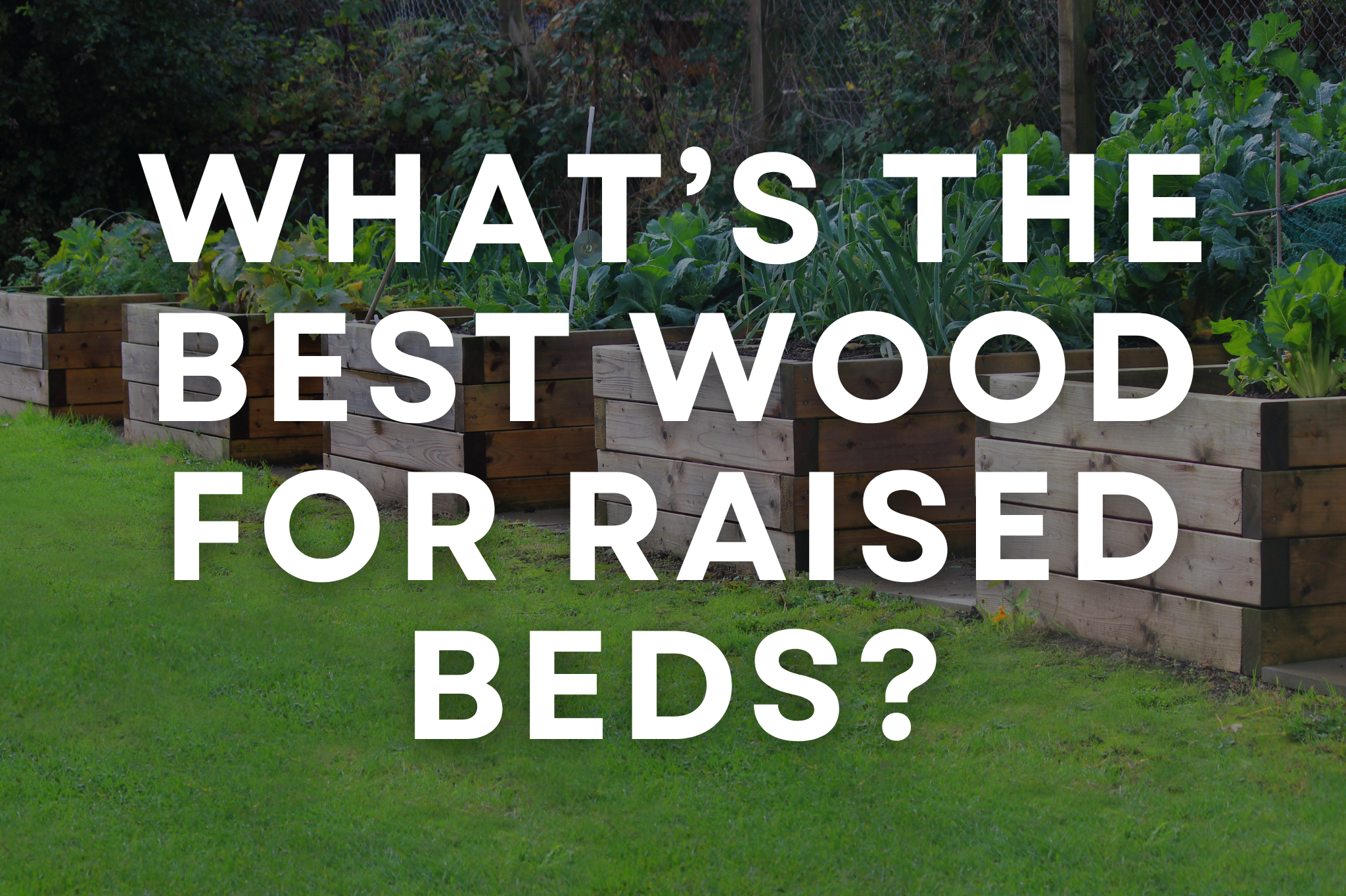 Beautiful cedar raised garden beds installed in a residential backyard by C&K Landscaping