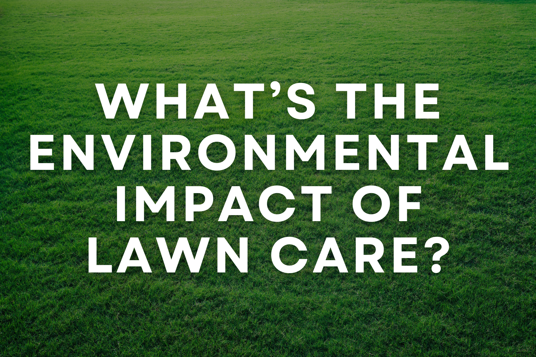 A lush, sustainably maintained lawn alongside native plantings and a pollinator garden