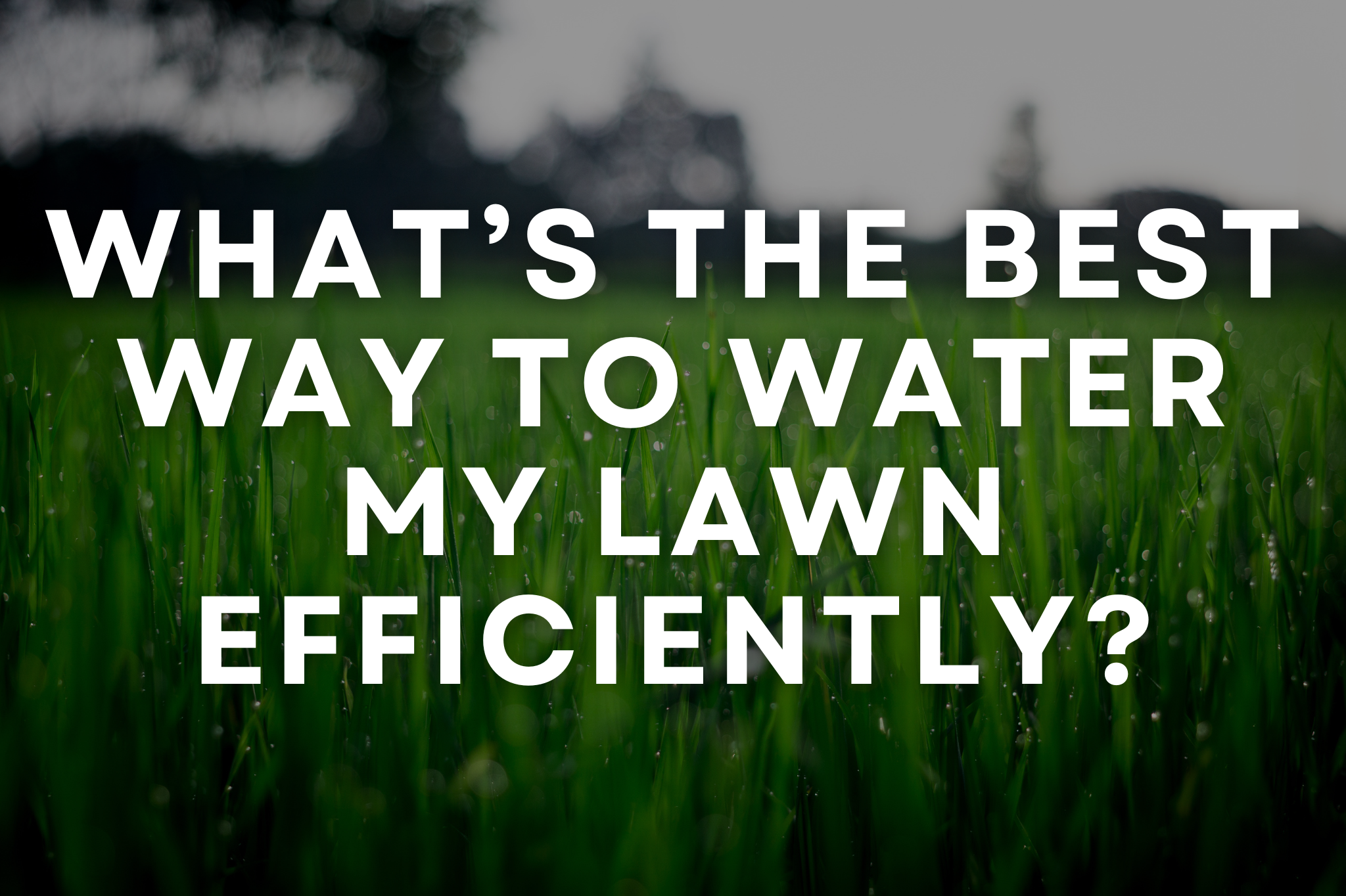 A sprinkler system efficiently watering a lush green lawn in Southern Utah during early morning hours