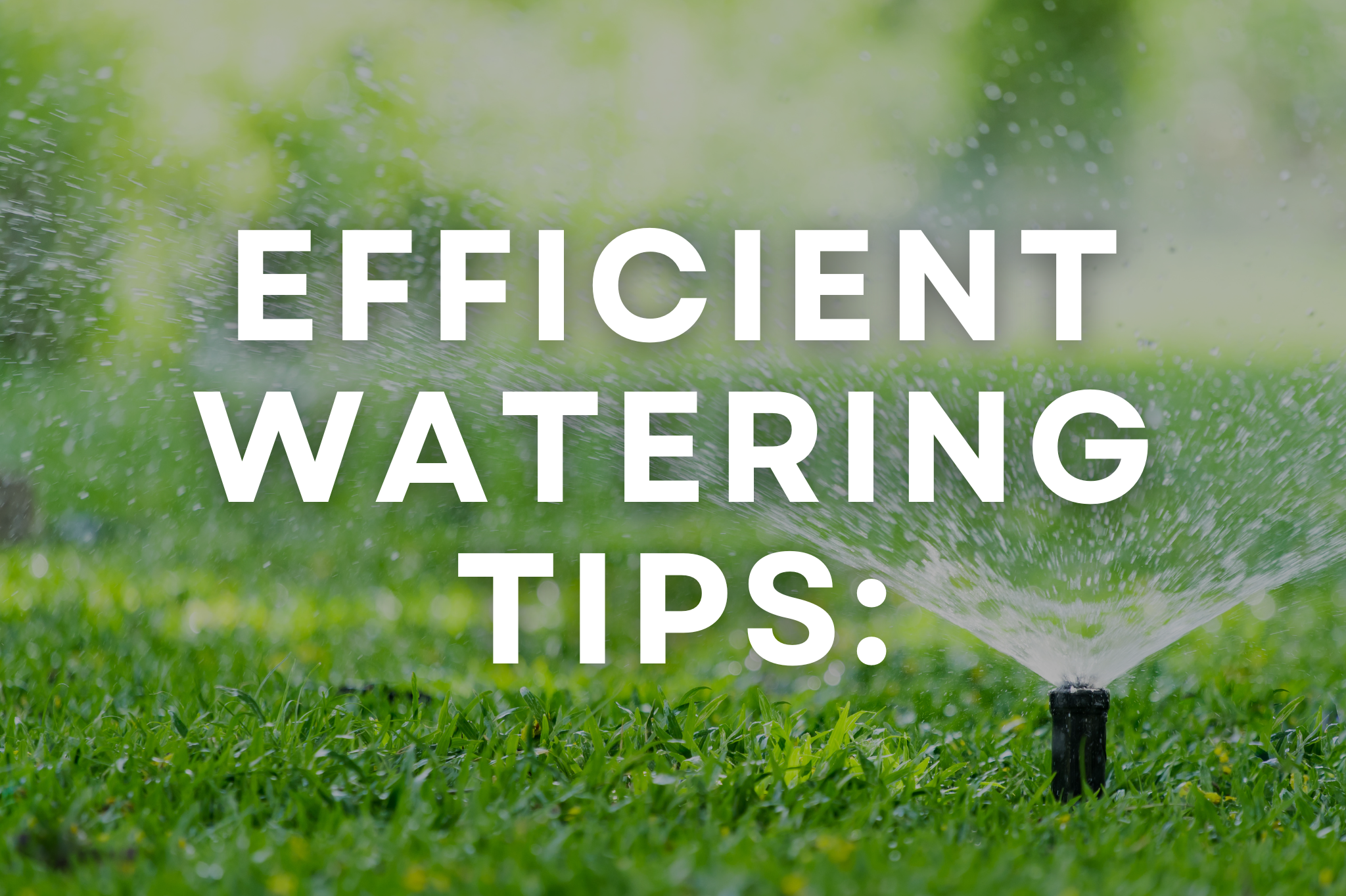 How can I water my lawn more efficiently?