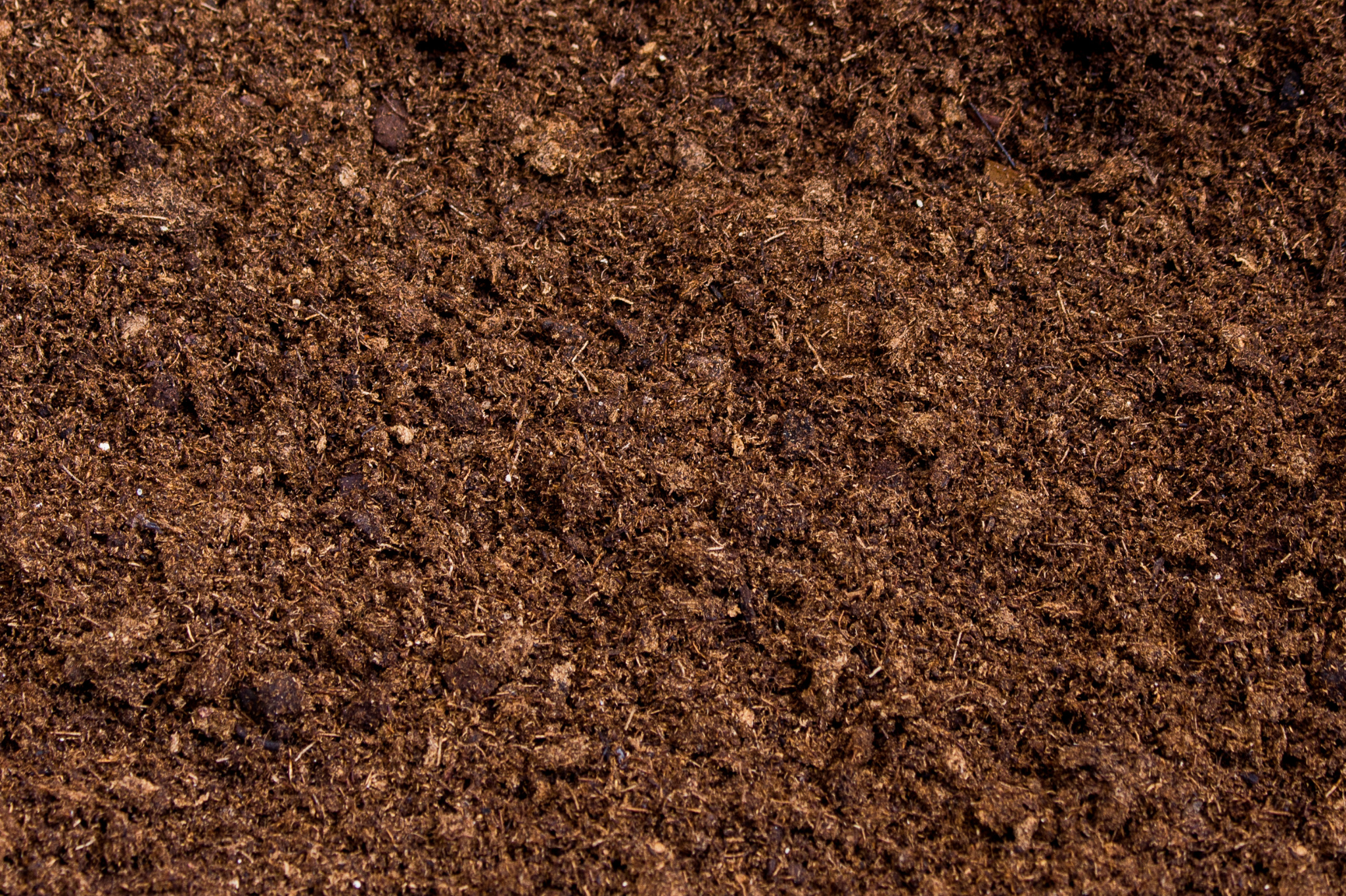 1. Your soil has a dark, crumbly texture