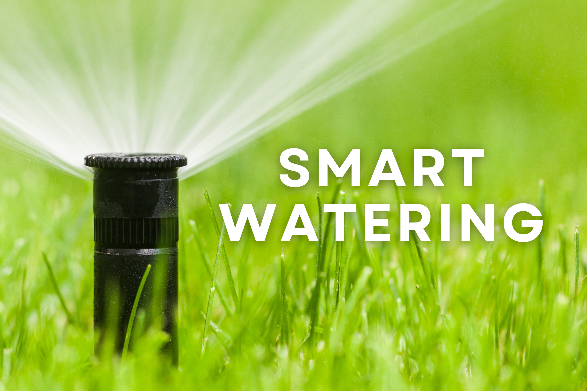 1. Water smarter, not harder