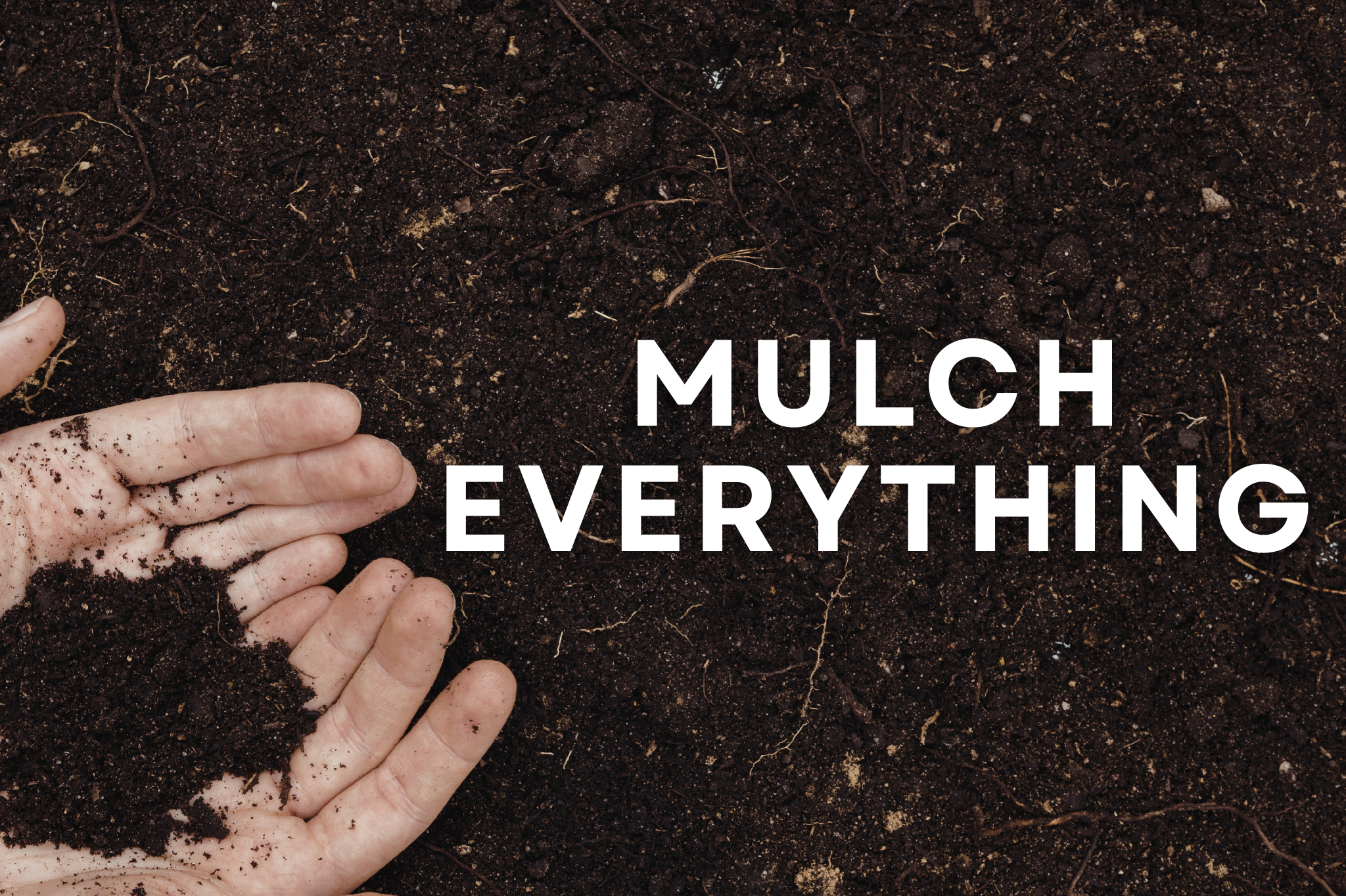 3. Mulch everything you can