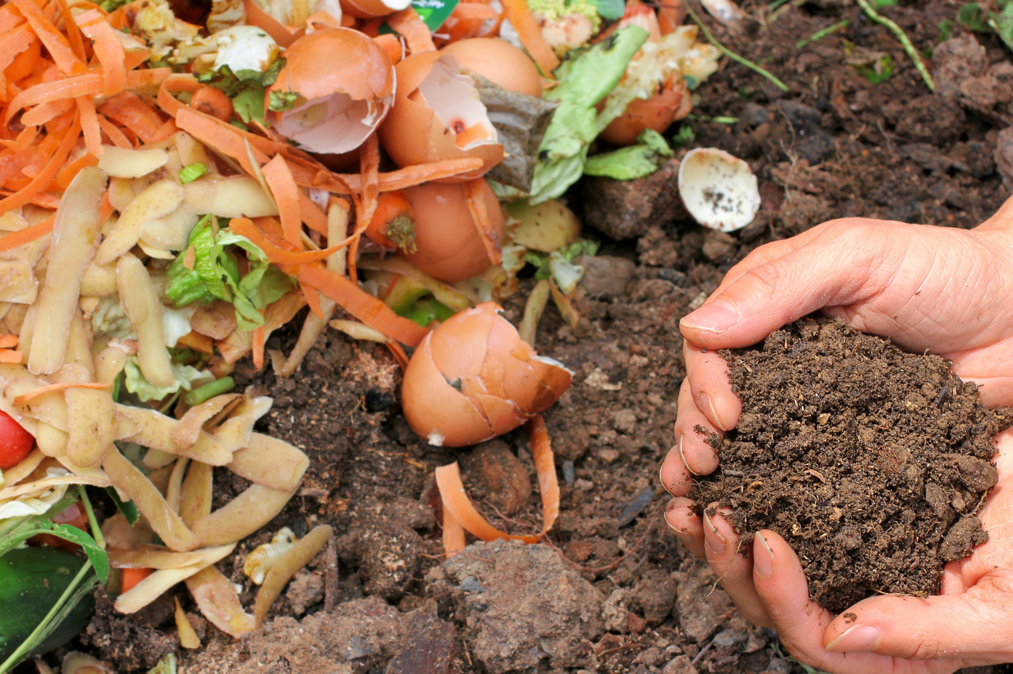 Compost pile with yard trimmings and kitchen scraps being recycled