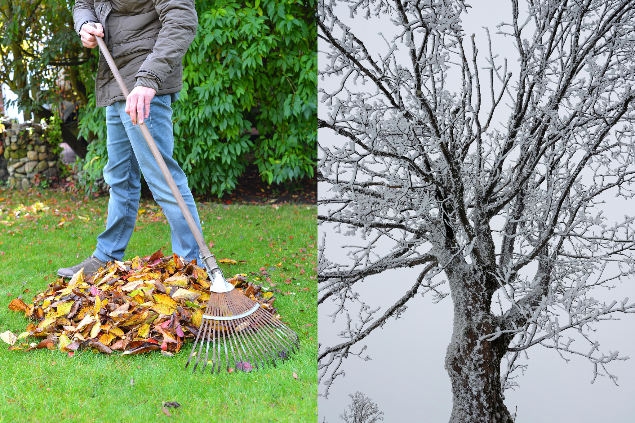 Seasonal maintenance tasks including leaf removal and winterization