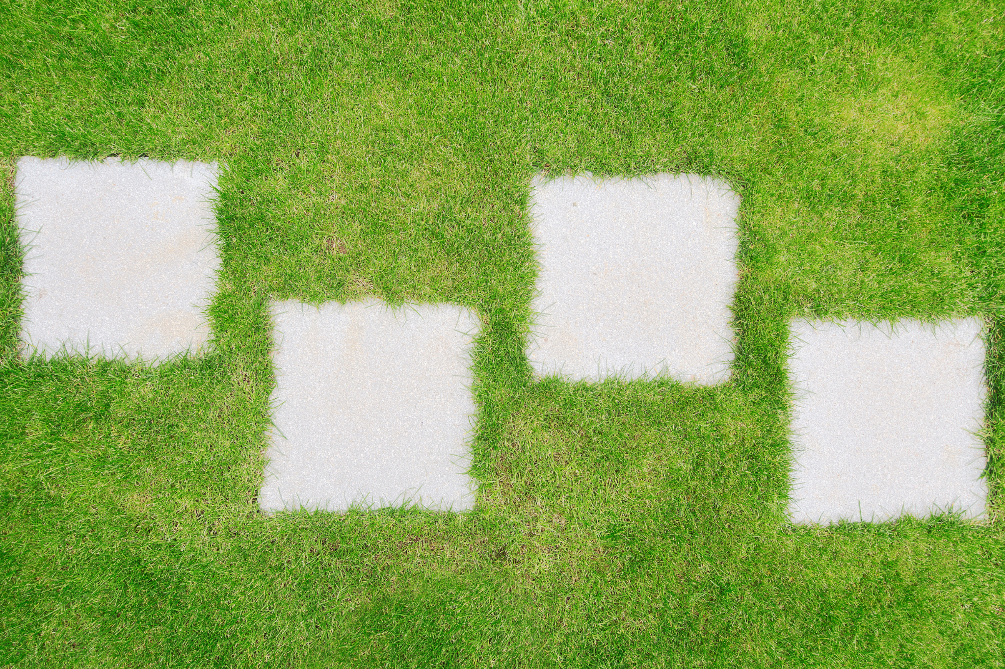 2. Build Durable Dog Runways