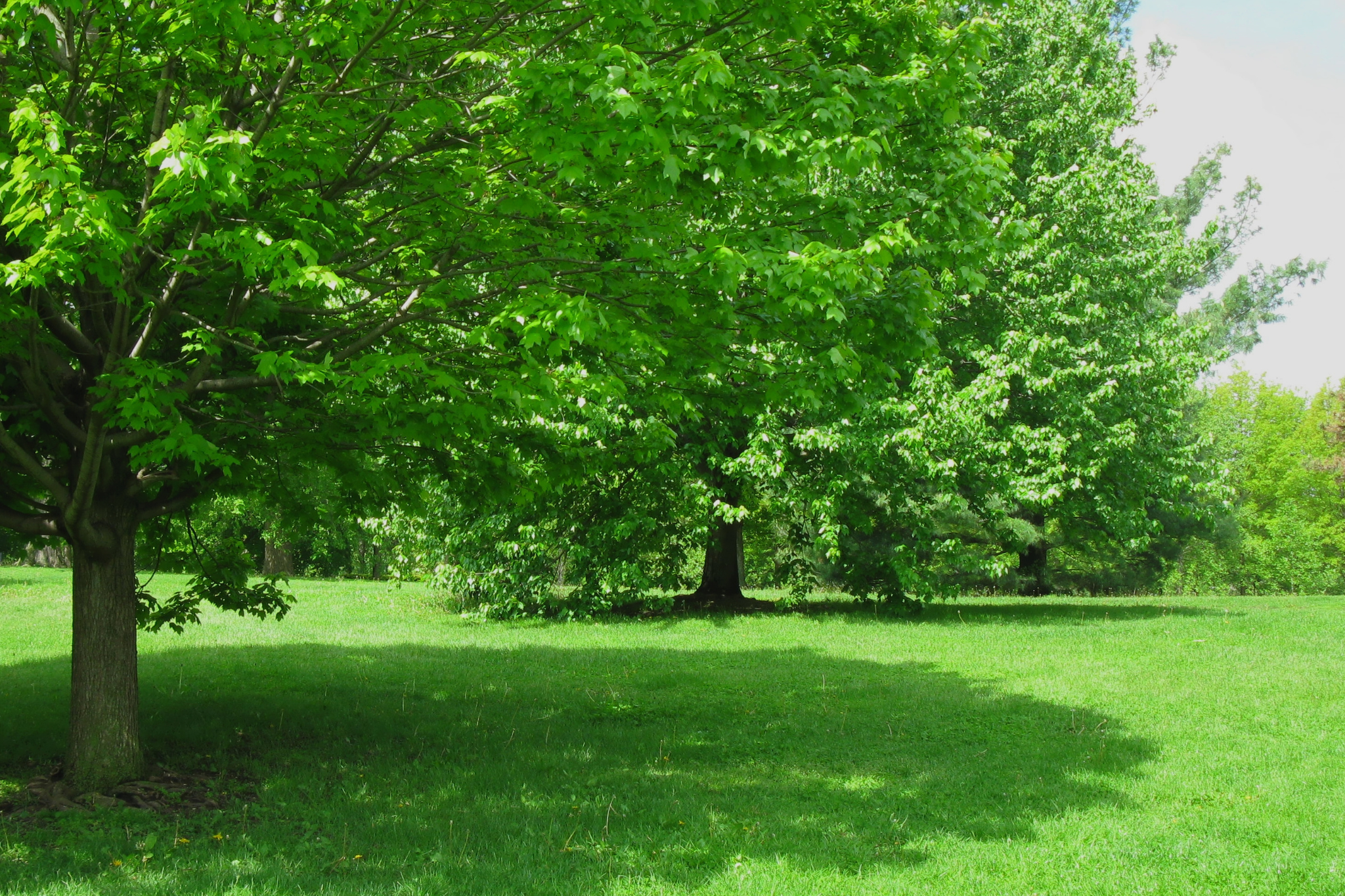 6. Smart Shade and Water Features