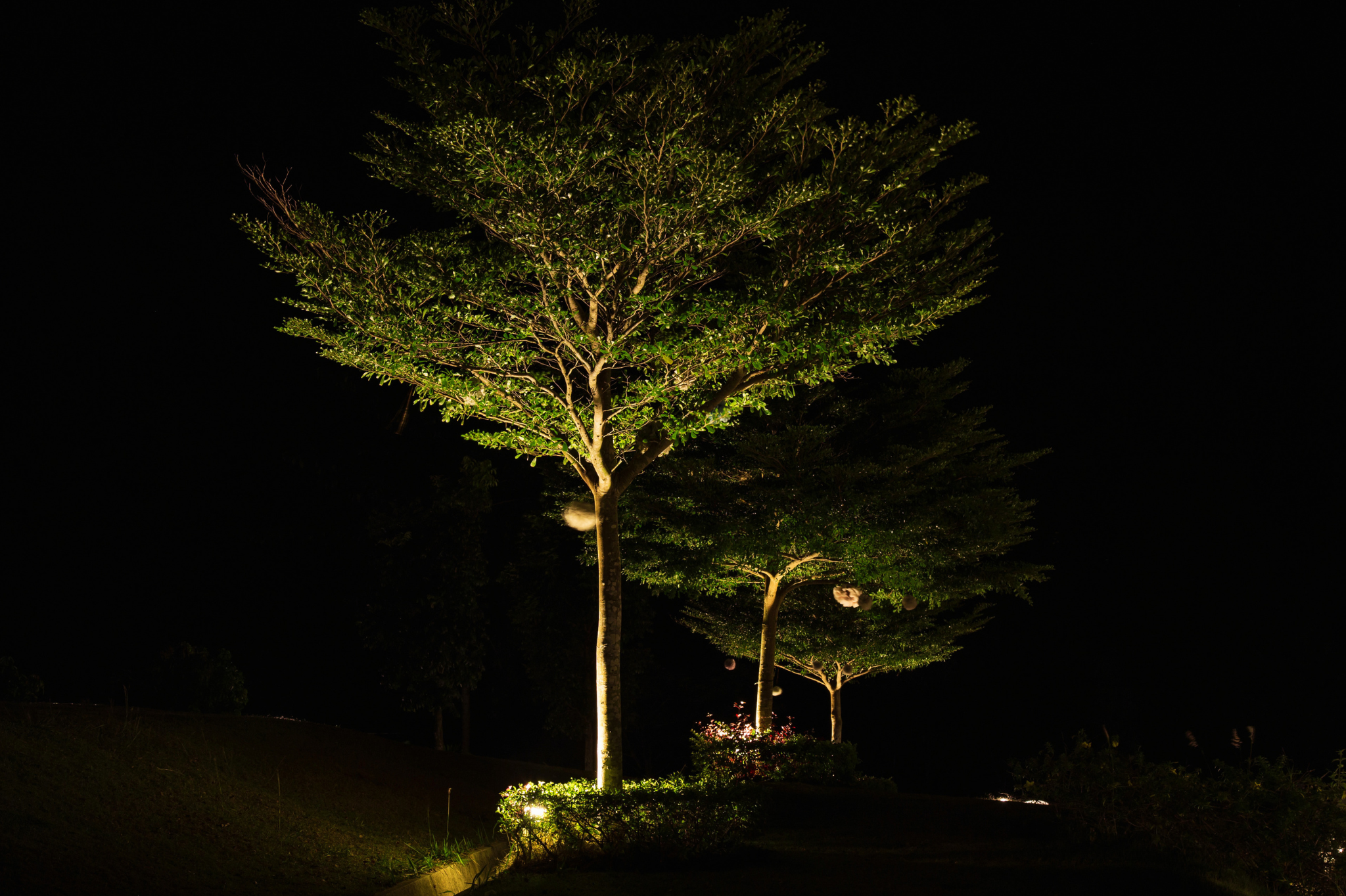 2. Accent Lighting