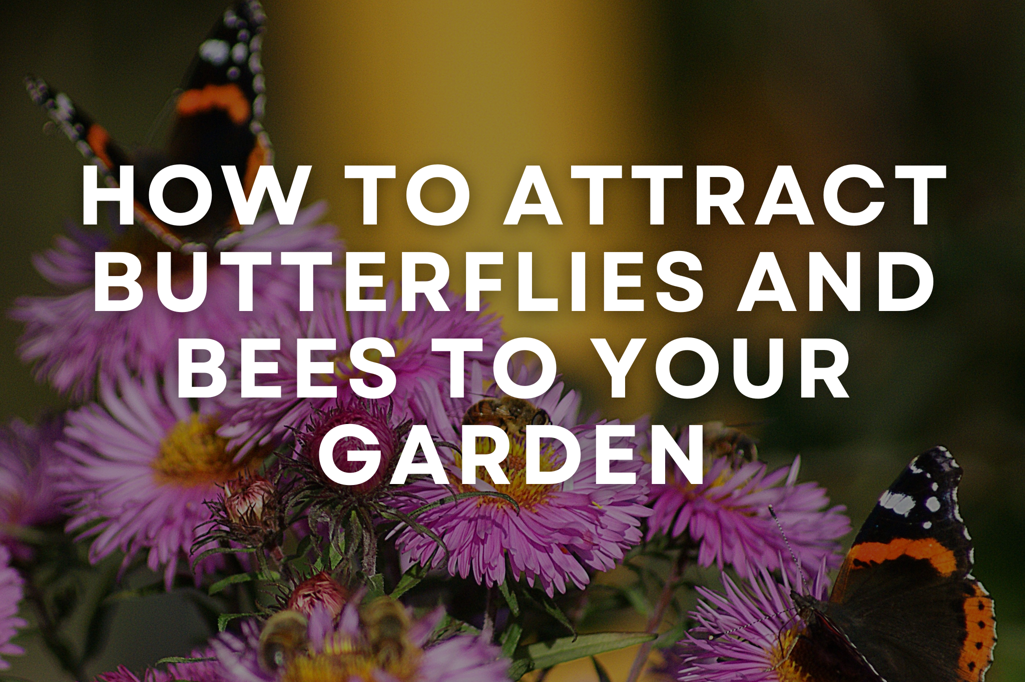 Colorful pollinator garden with butterflies and bees visiting native flowers in Southern Utah