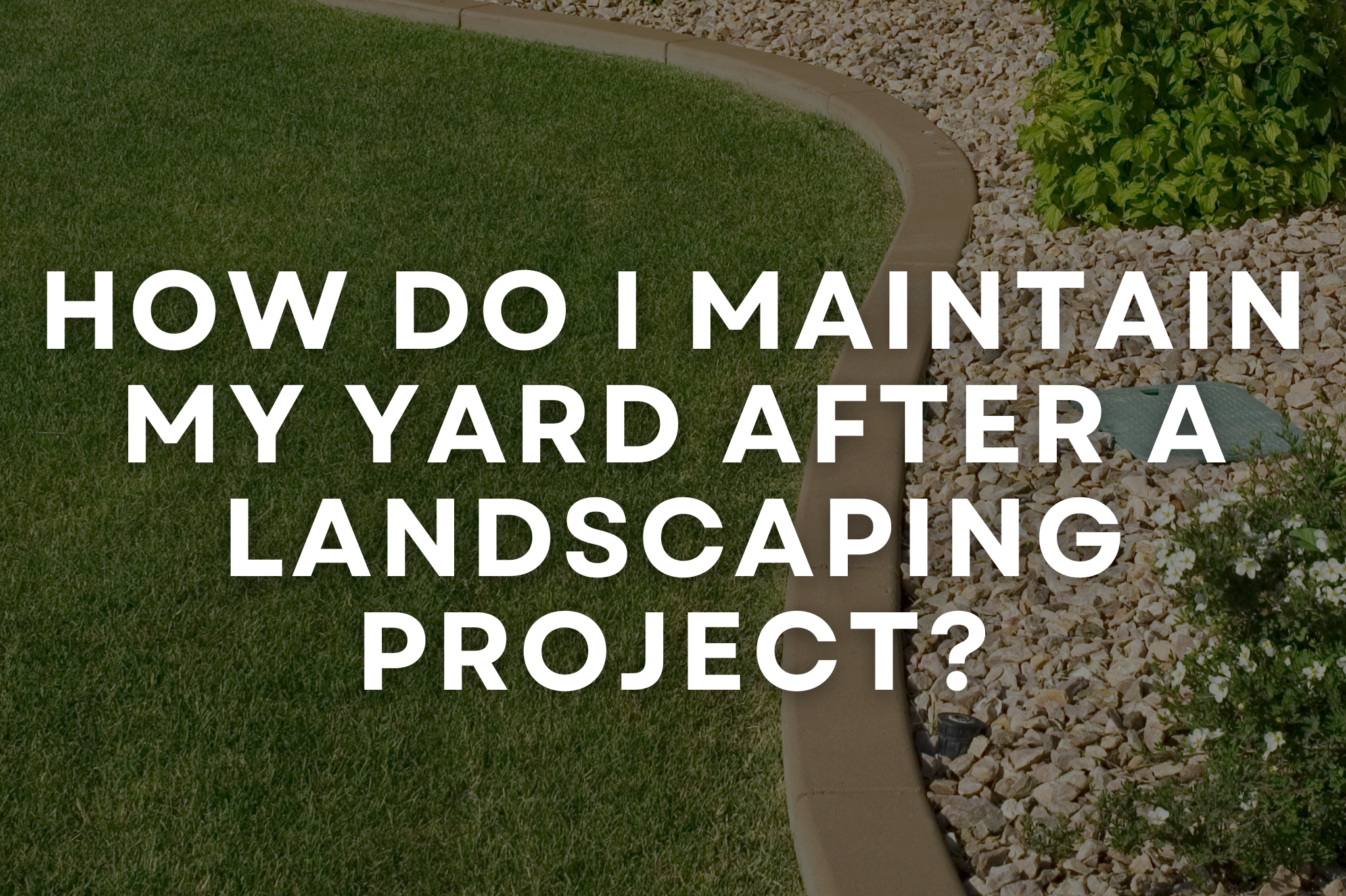 Newly installed landscaped yard with healthy sod, mulch beds, and young shrubs receiving maintenance care