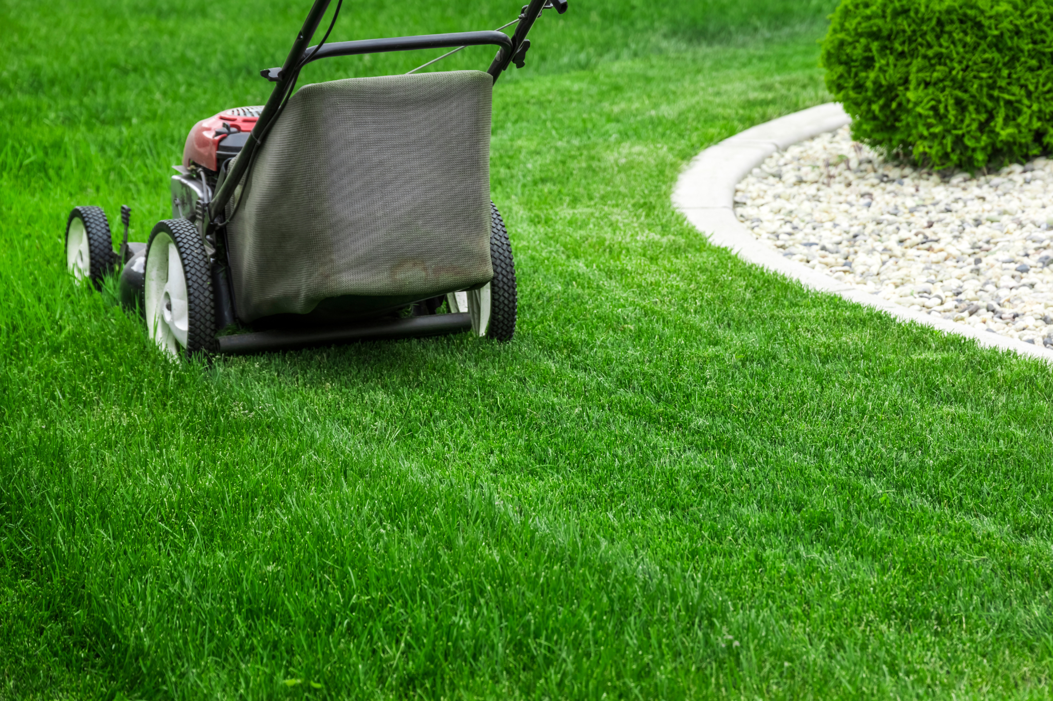 Phase 2: Mowing & Edging (Weeks 2-6)