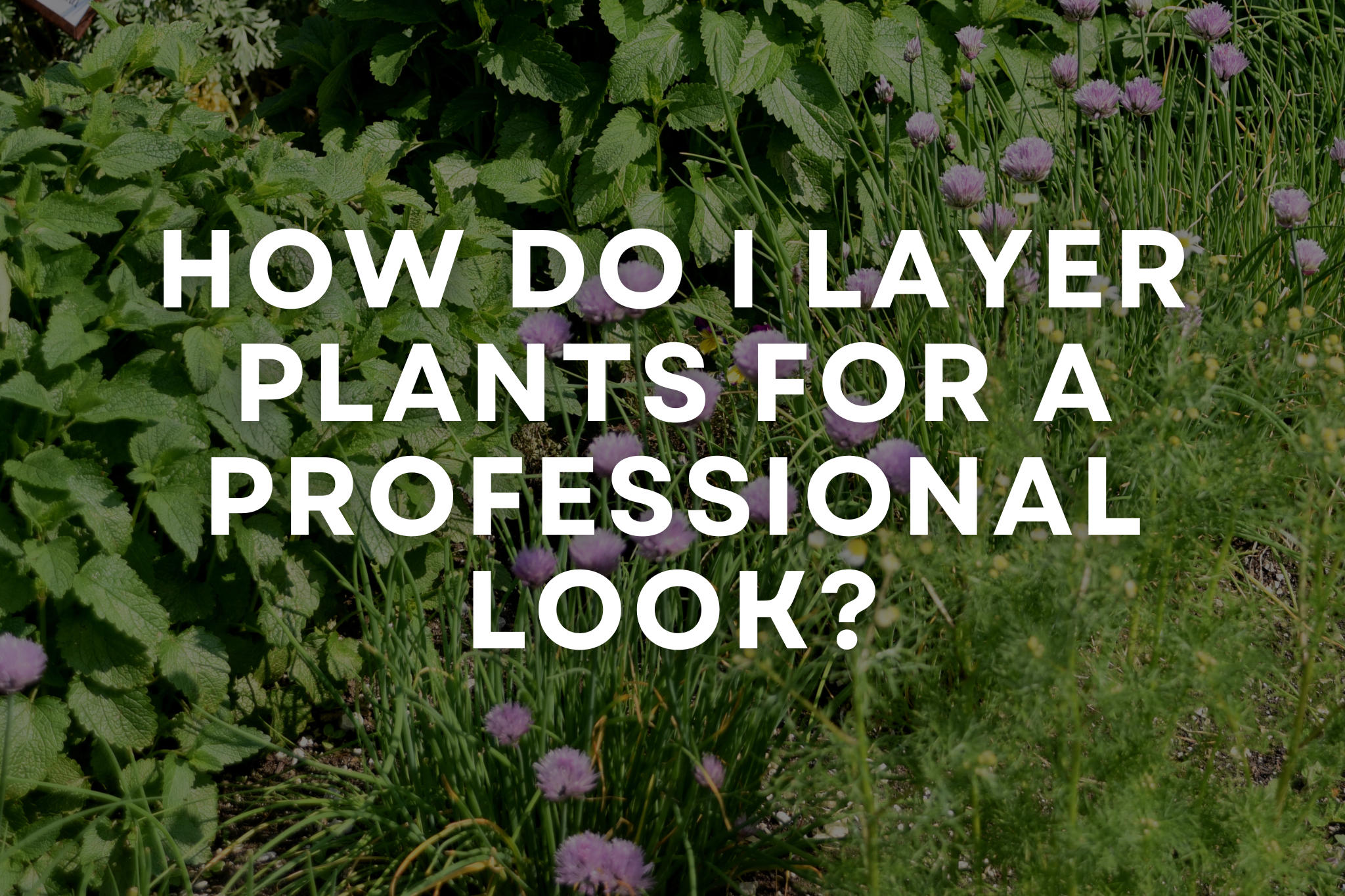 Layered landscape design with canopy, mid-layer, and groundcover plants