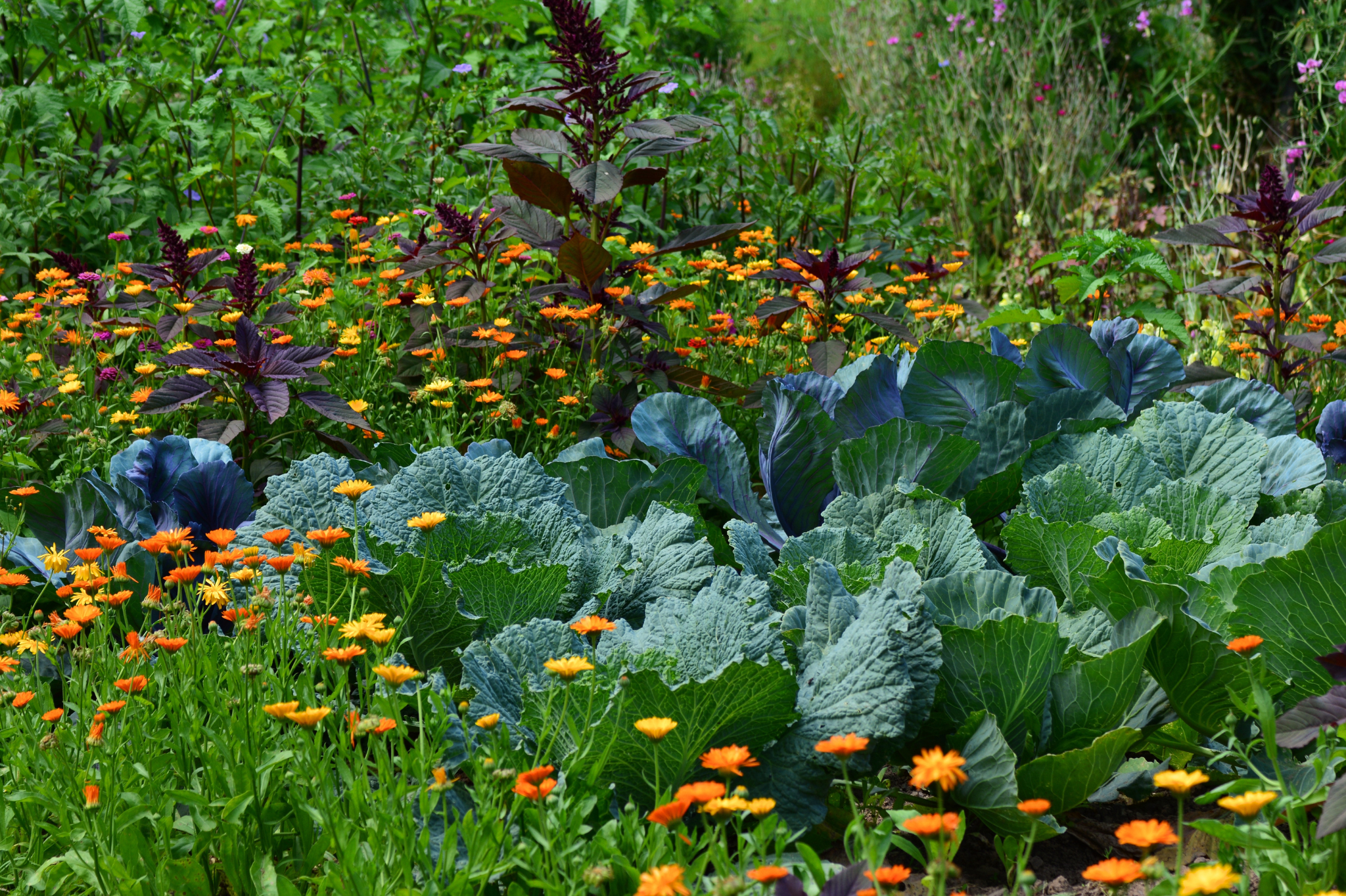 3. Foodscaping and Pollinator-Friendly Yards