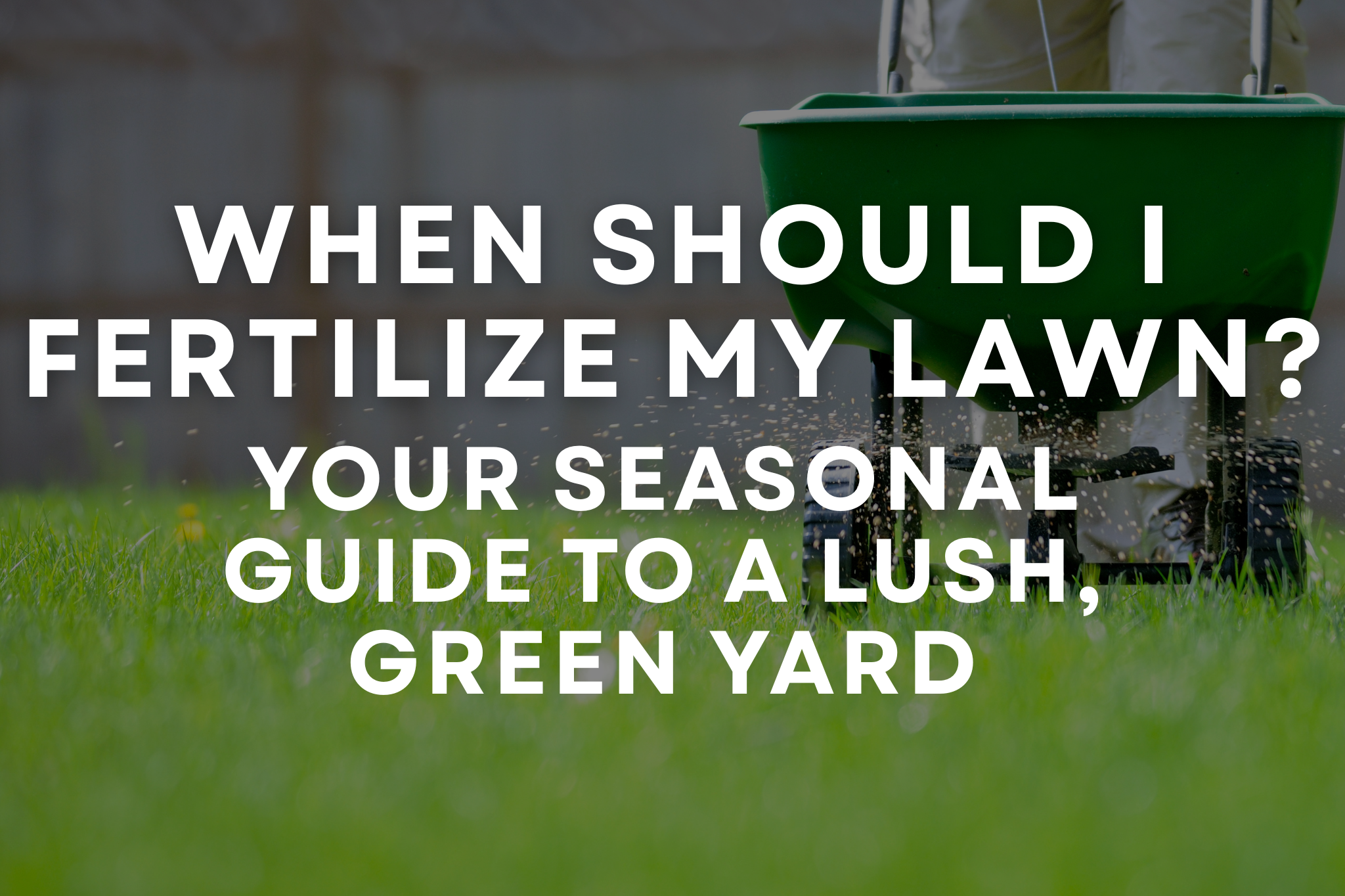 Lush green lawn in Southern Utah ready for seasonal fertilization