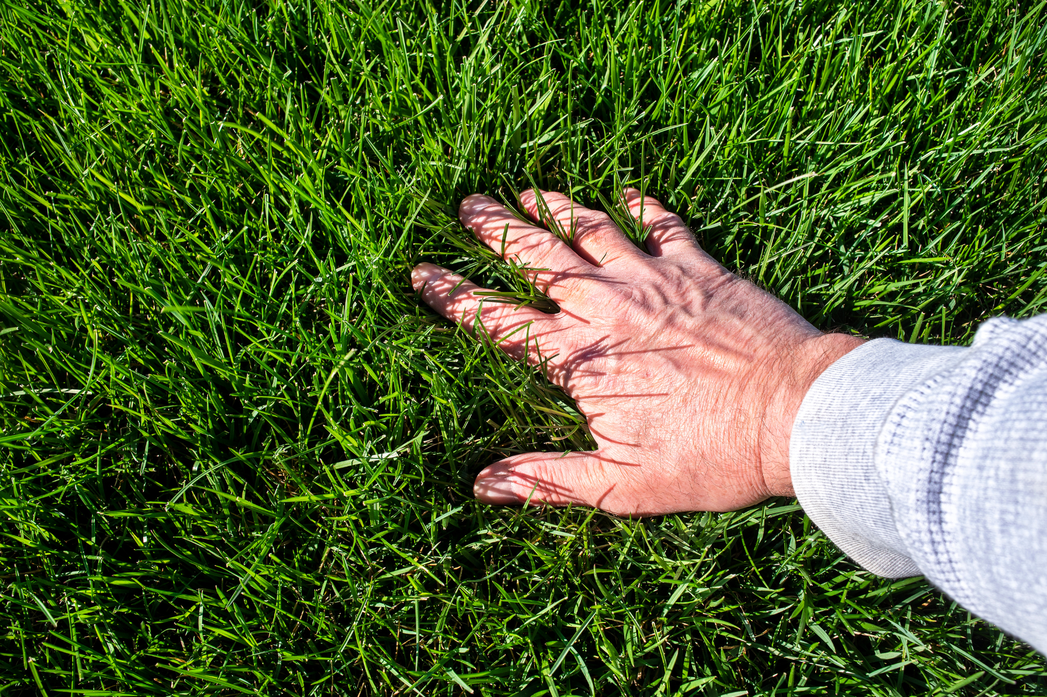 2. Healthier Grass and Landscaping