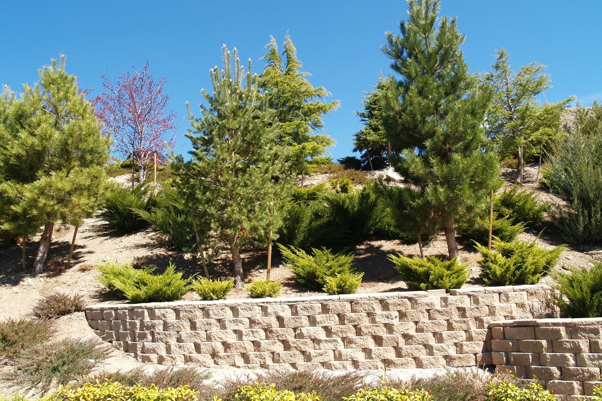 How to Choose the Right Retaining Wall