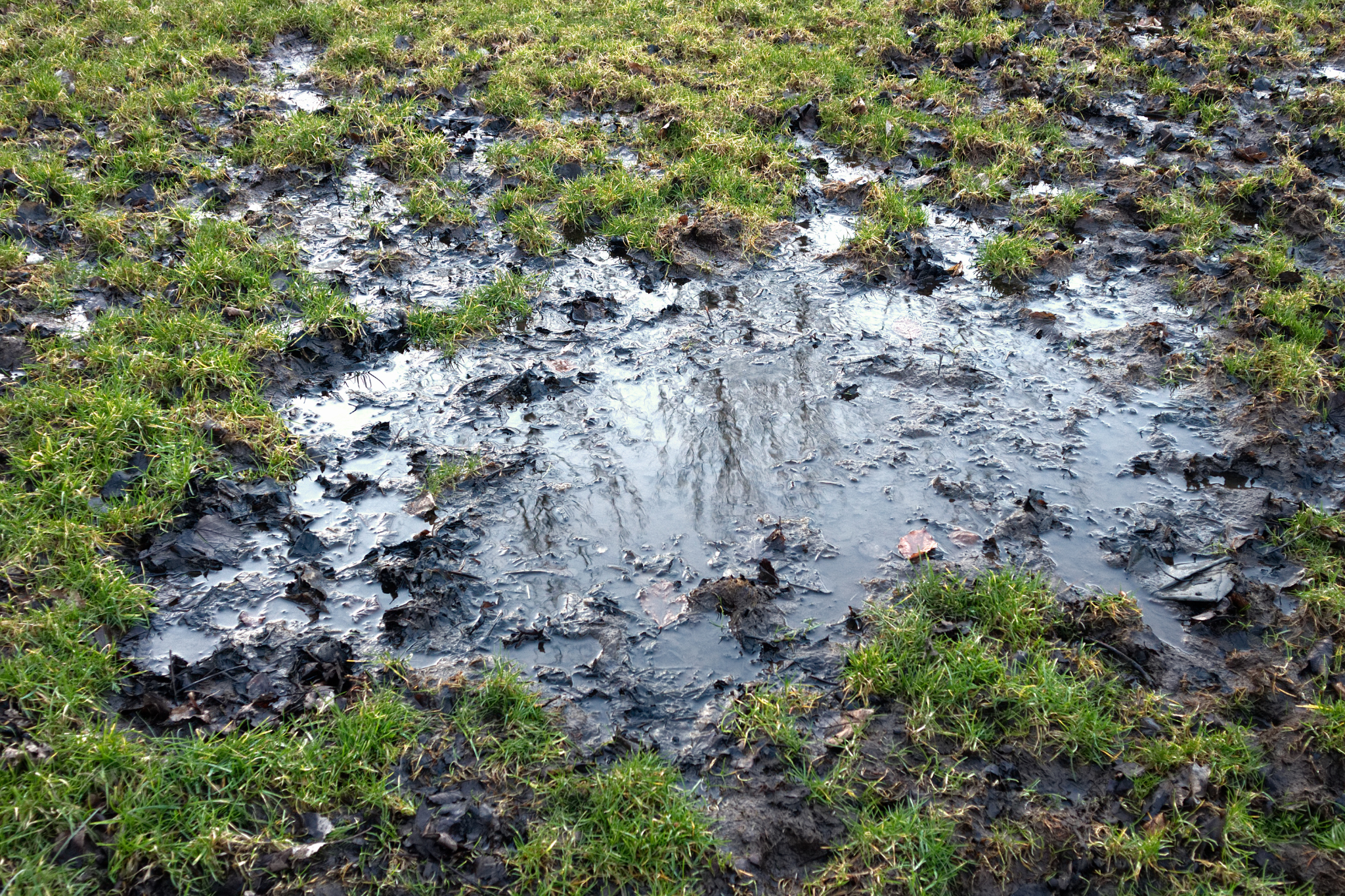 How Drainage Problems Can Lead to Erosion