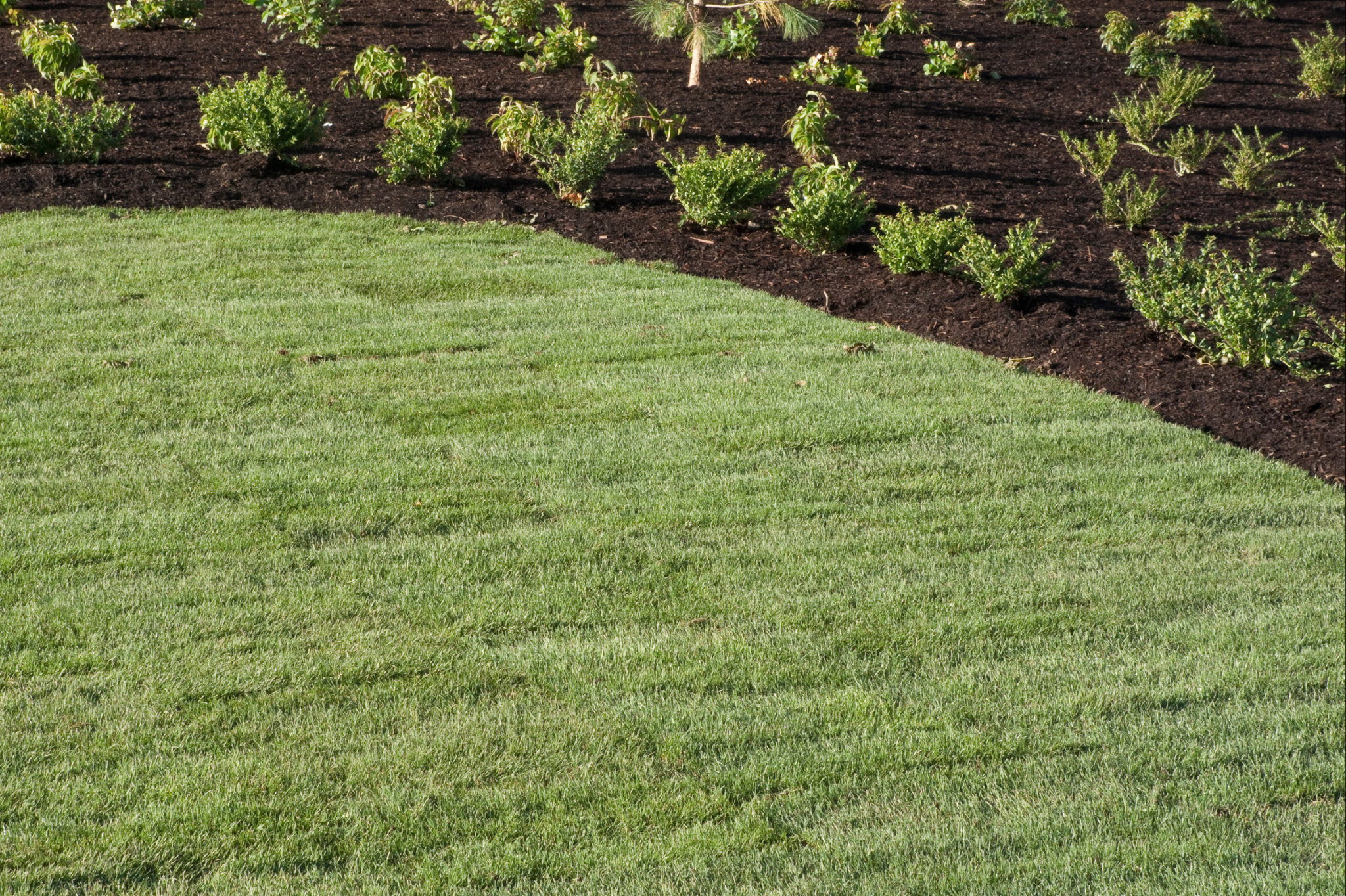 How to Fix Poor Yard Drainage